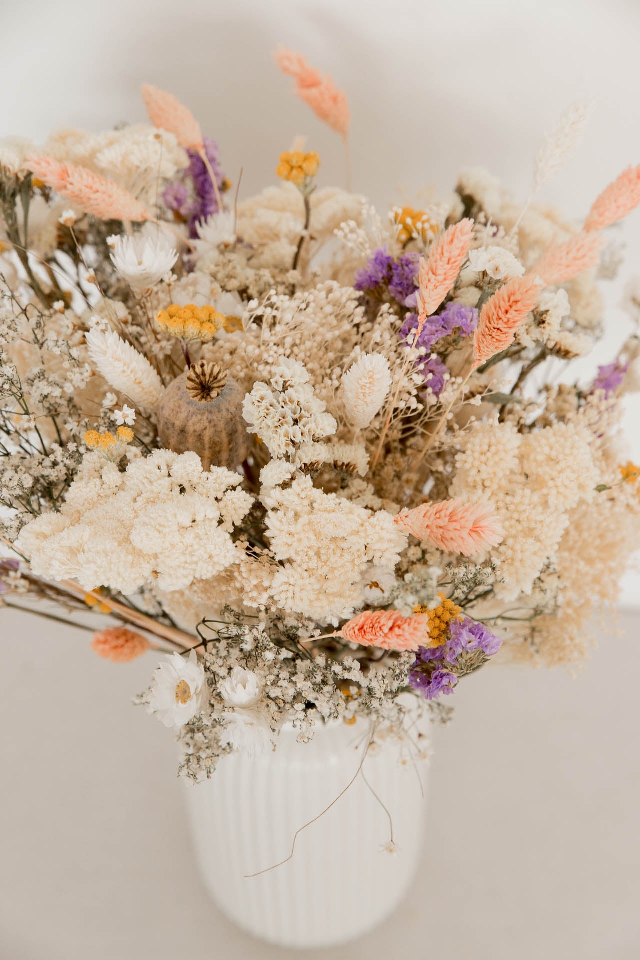 bunt & fancy