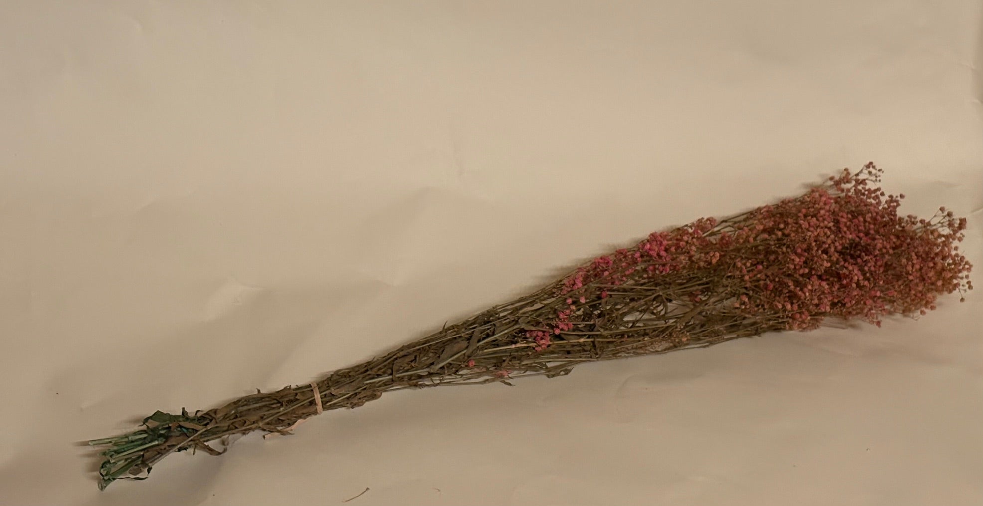 Schleierkraut fein konserviert rosa, 1 Bund mit 10 Stiel, 0,7 m, Gypsophila getrocknet, Trockenblume, Gras, Deko, nachhaltig aus der EU