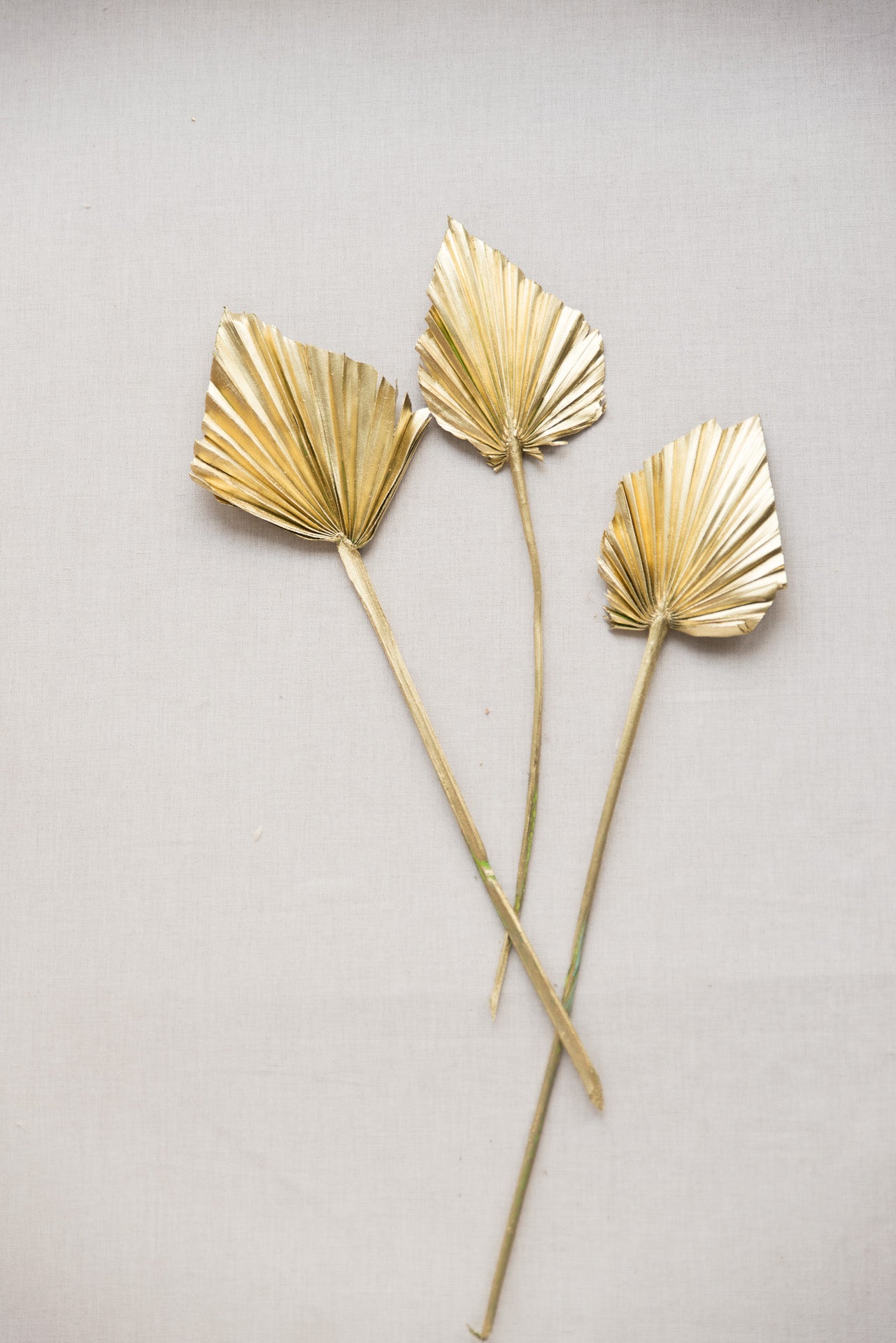 Palmspear gold