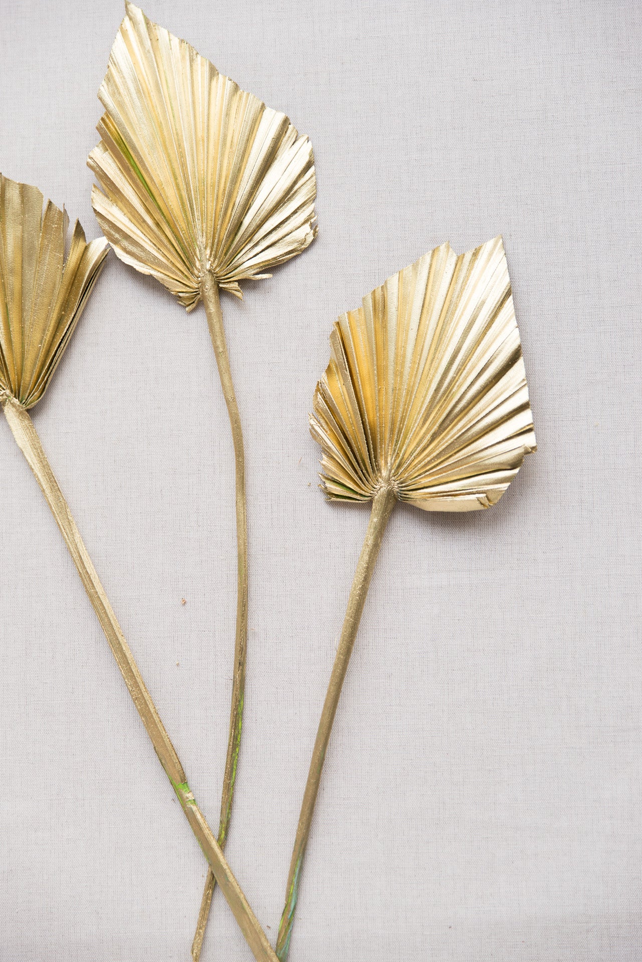 Palmspear gold
