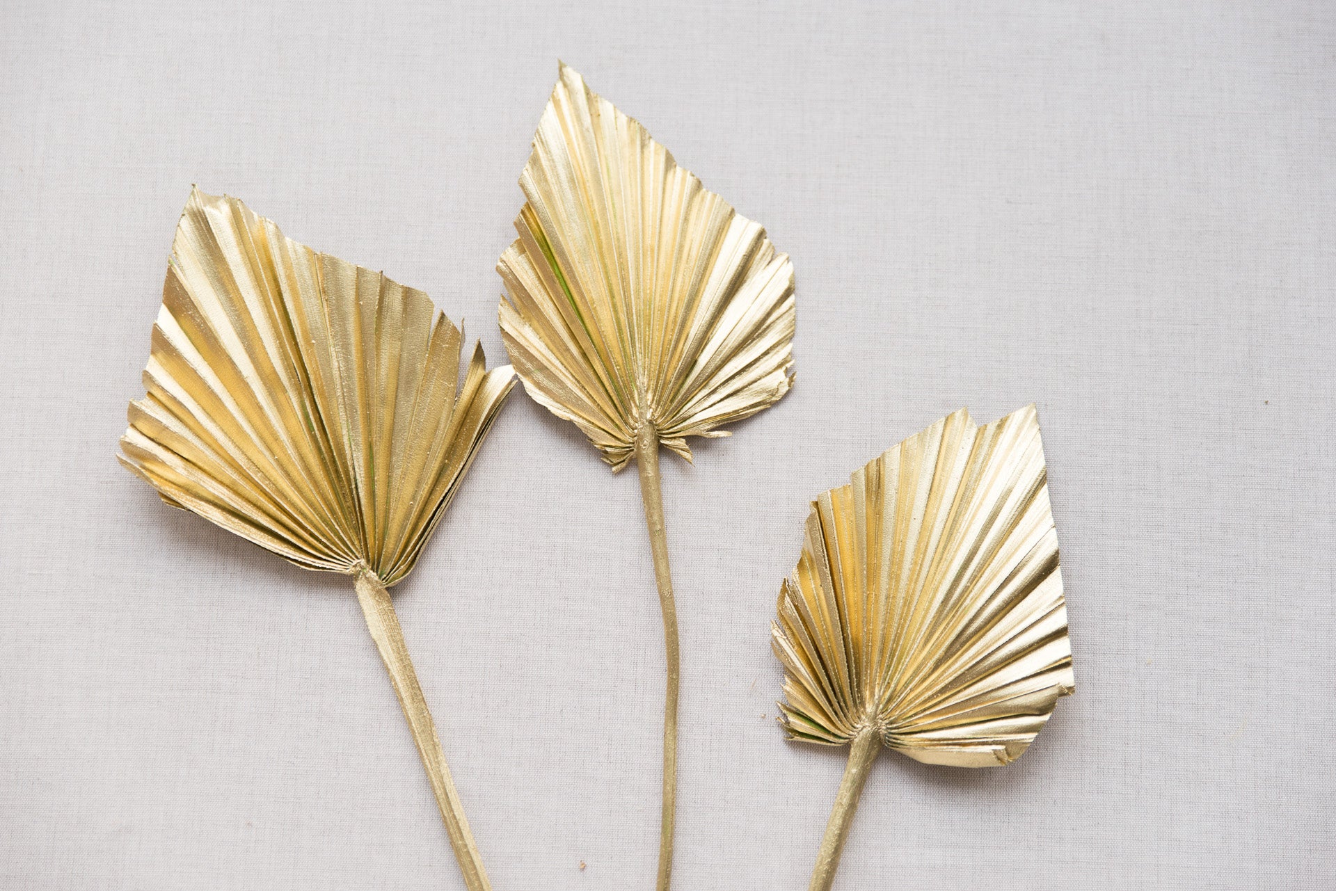 Palmspear gold