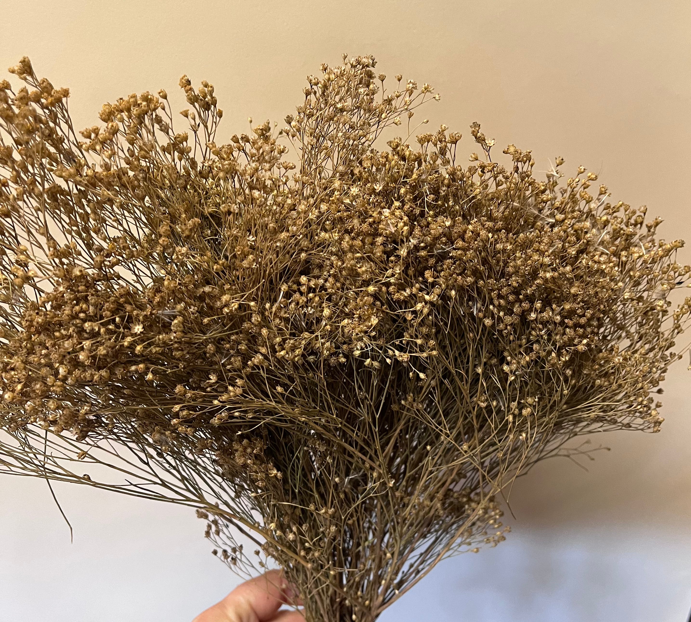 DIY Bundle "Golden Hour" 50cm Höhe