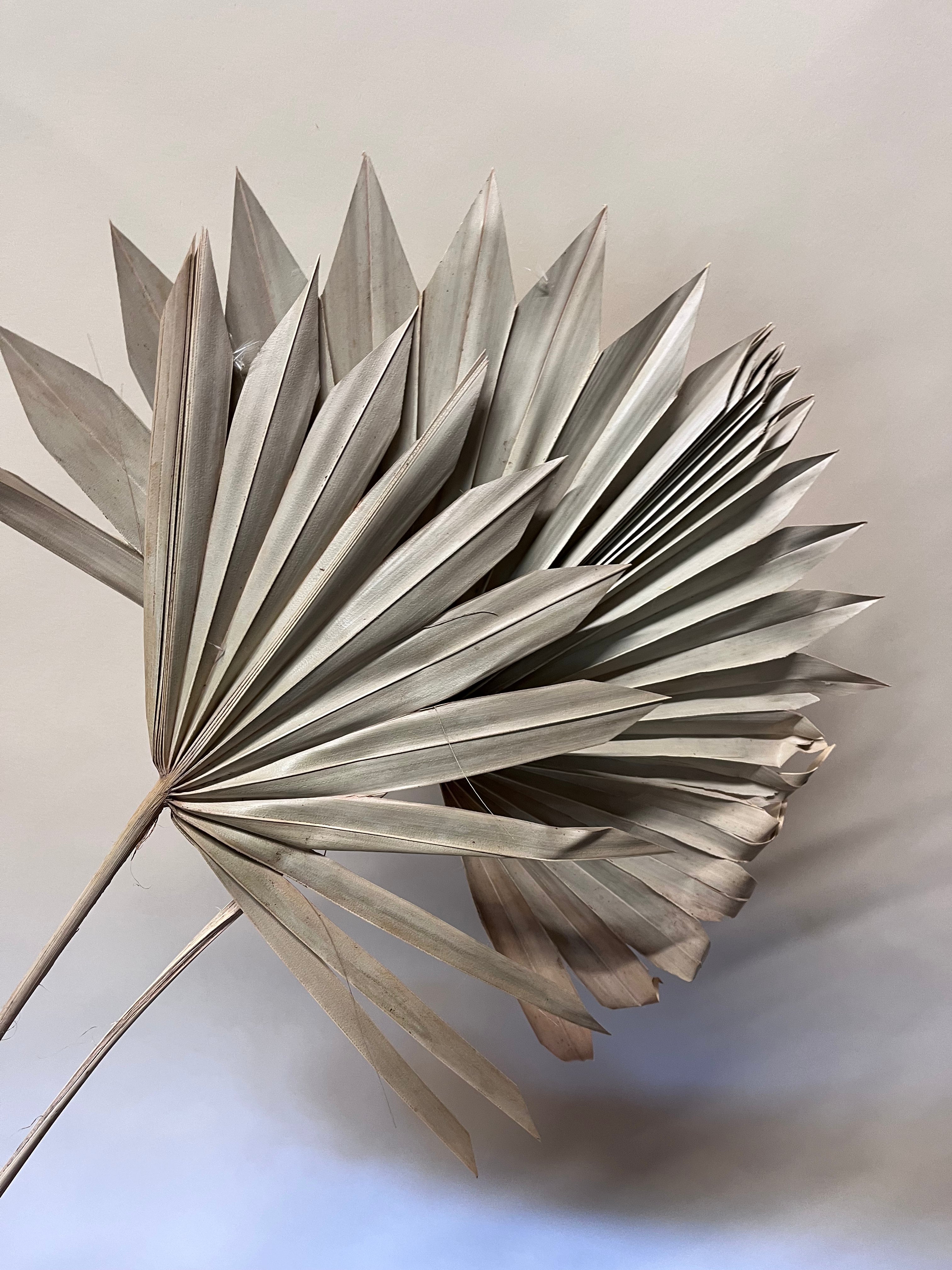 DIY Bundle "Golden Hour" 50cm Höhe