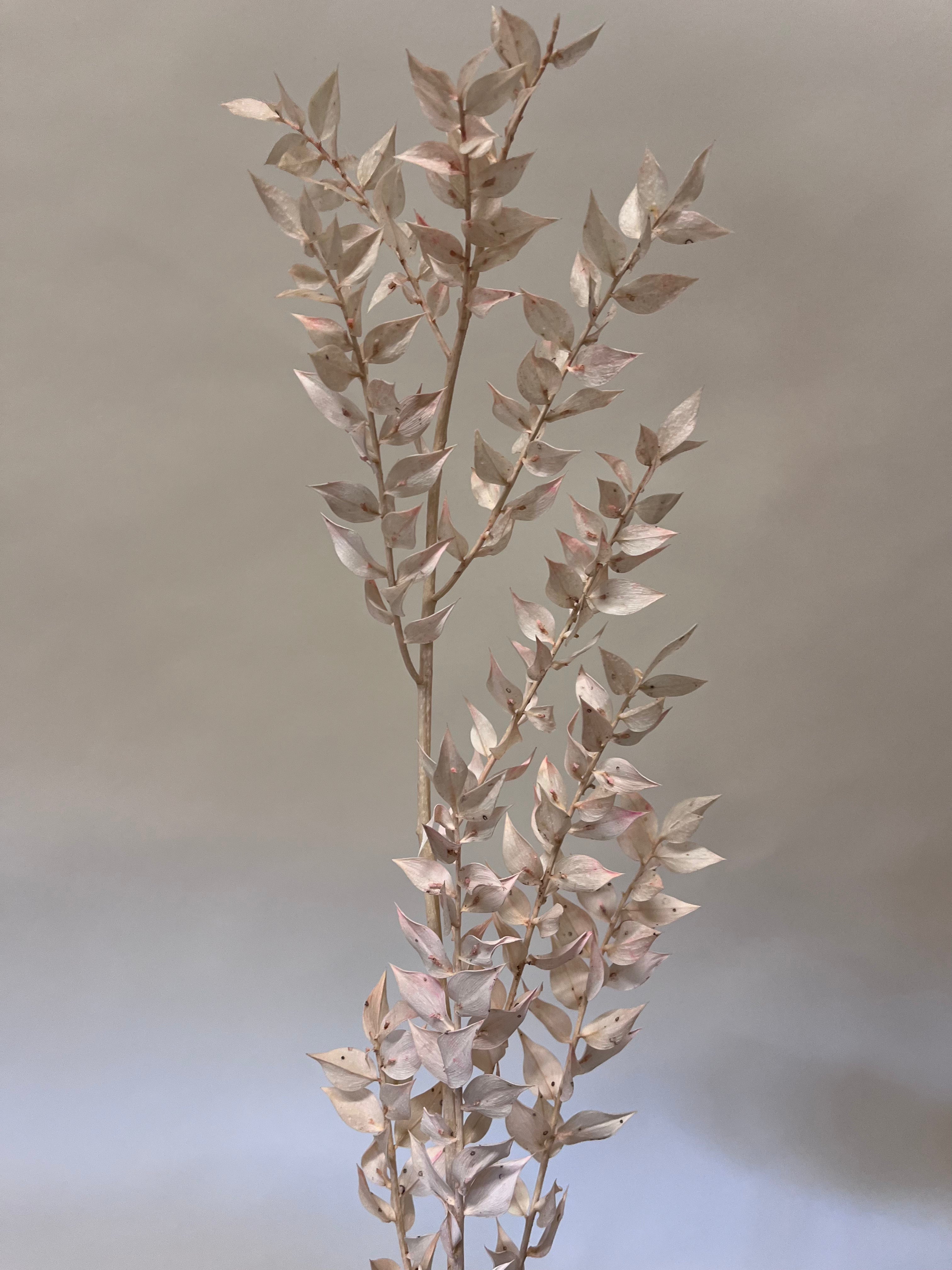 DIY Bundle "Altrosa" 50cm Höhe