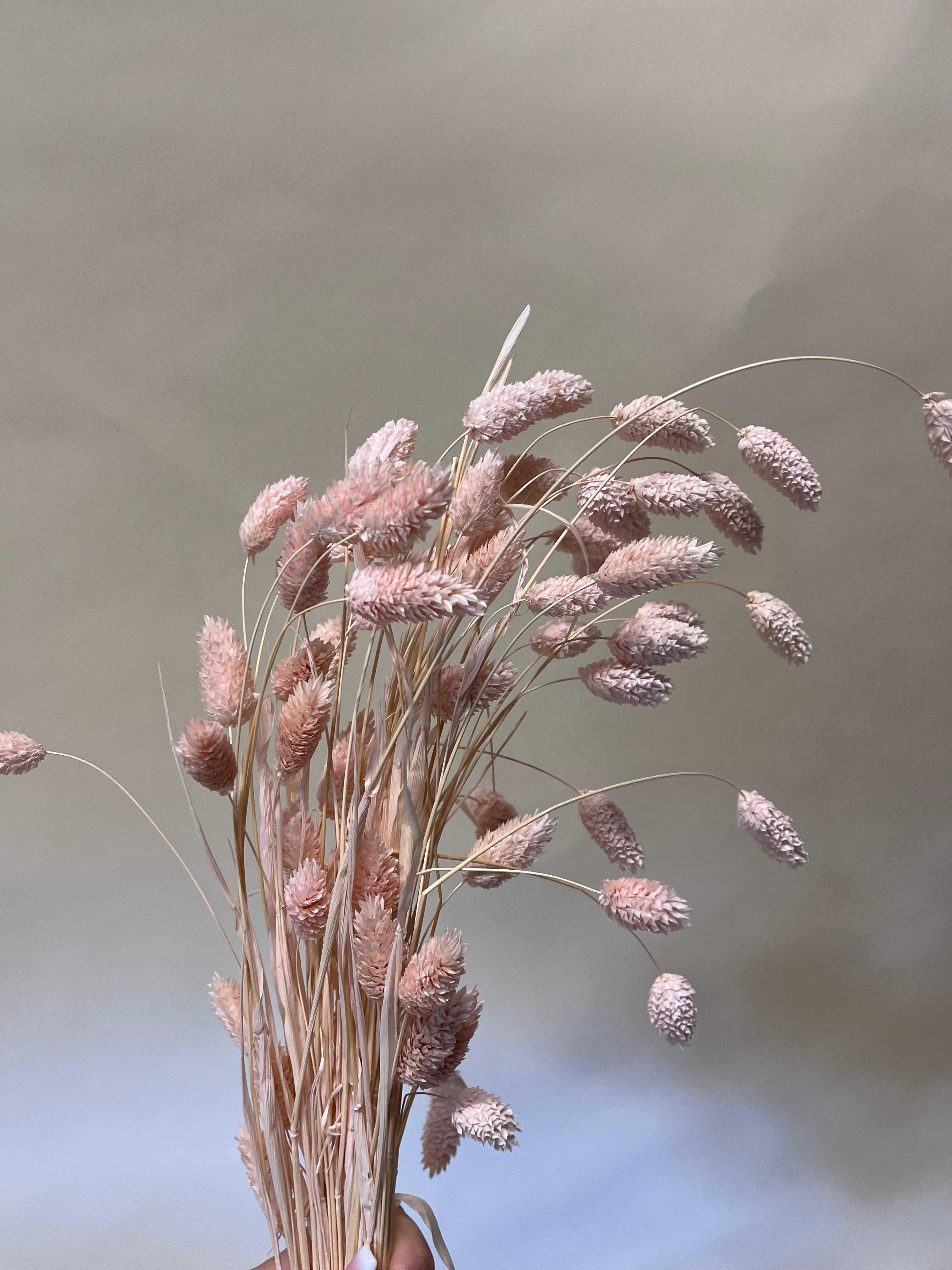 DIY Bundle "Altrosa" 50cm Höhe