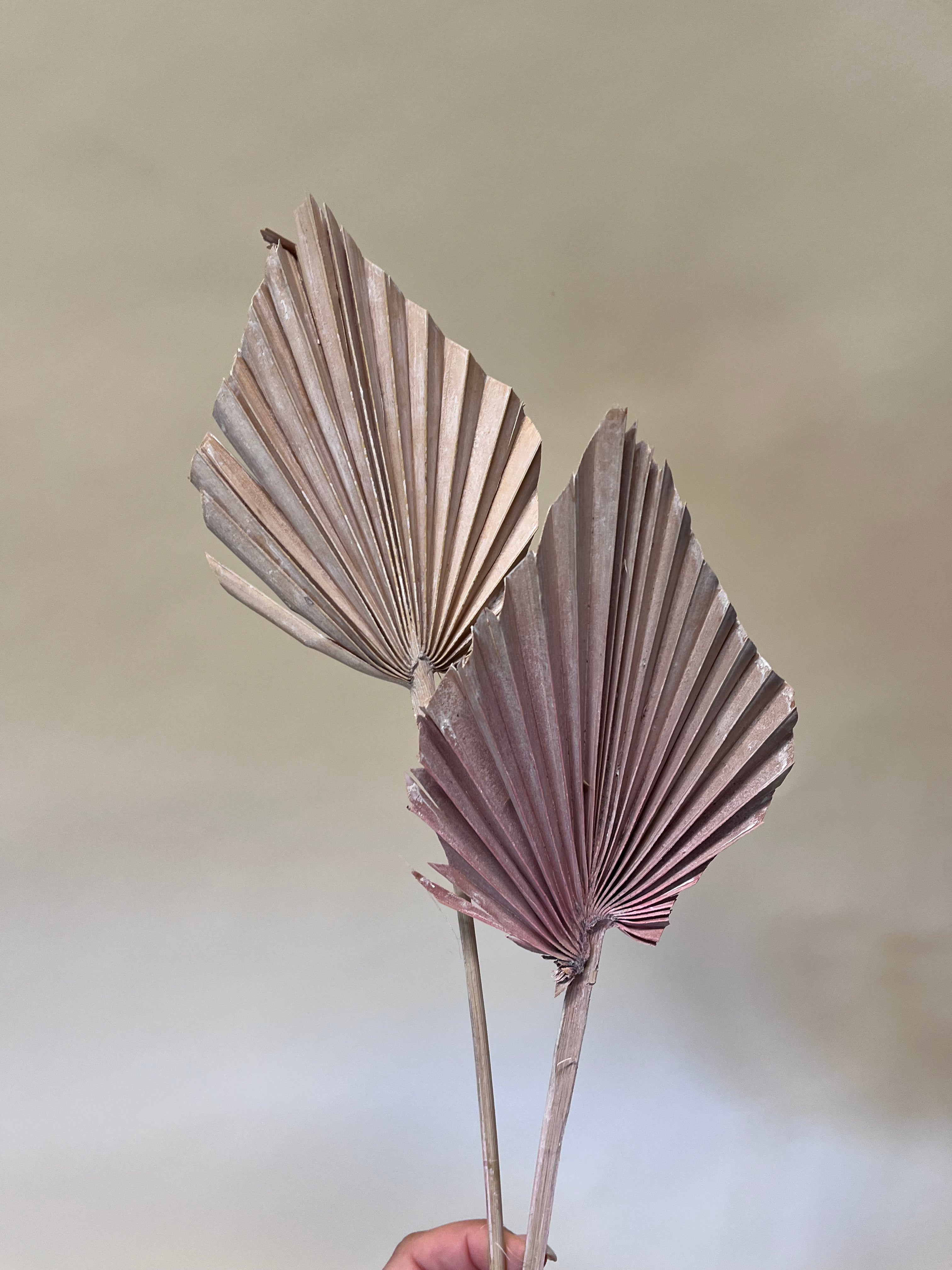 DIY Bundle "Altrosa" 50cm Höhe