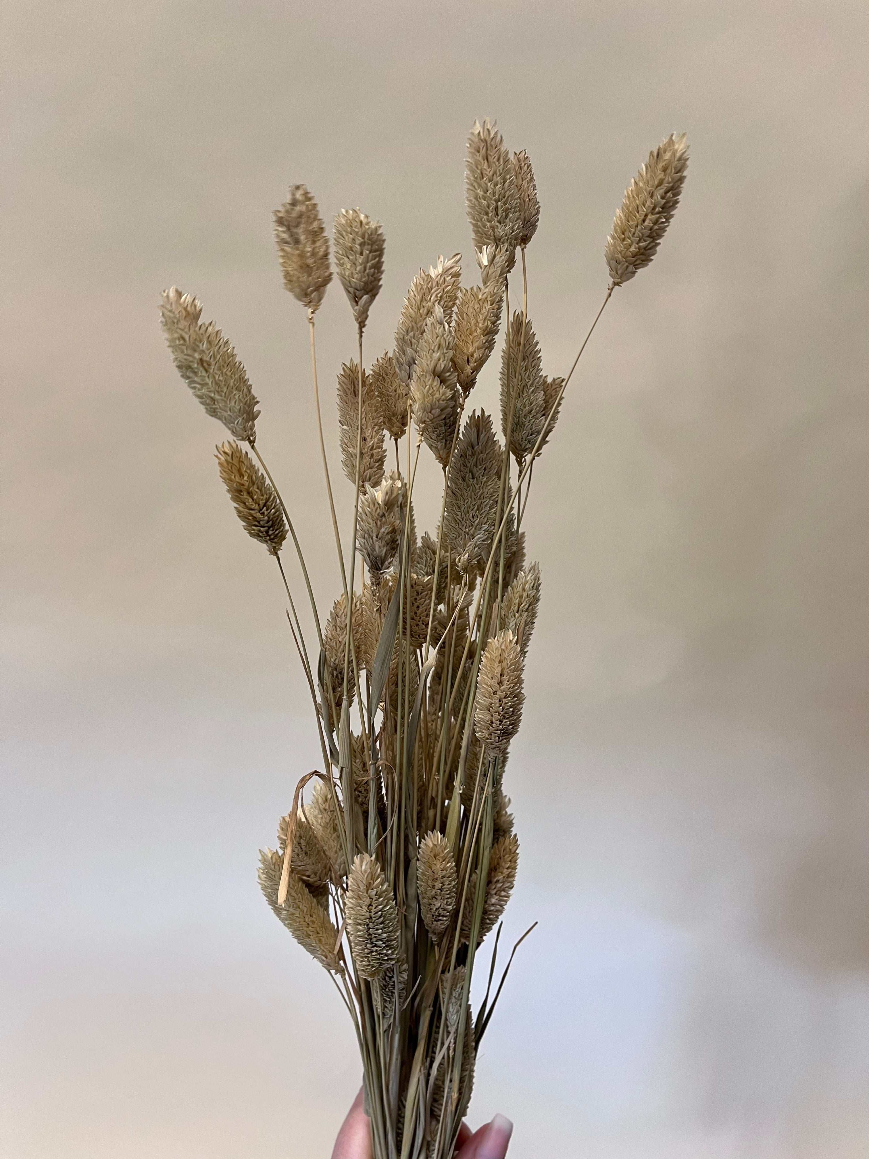 DIY Bundle "The only nature" 50 cm Höhe