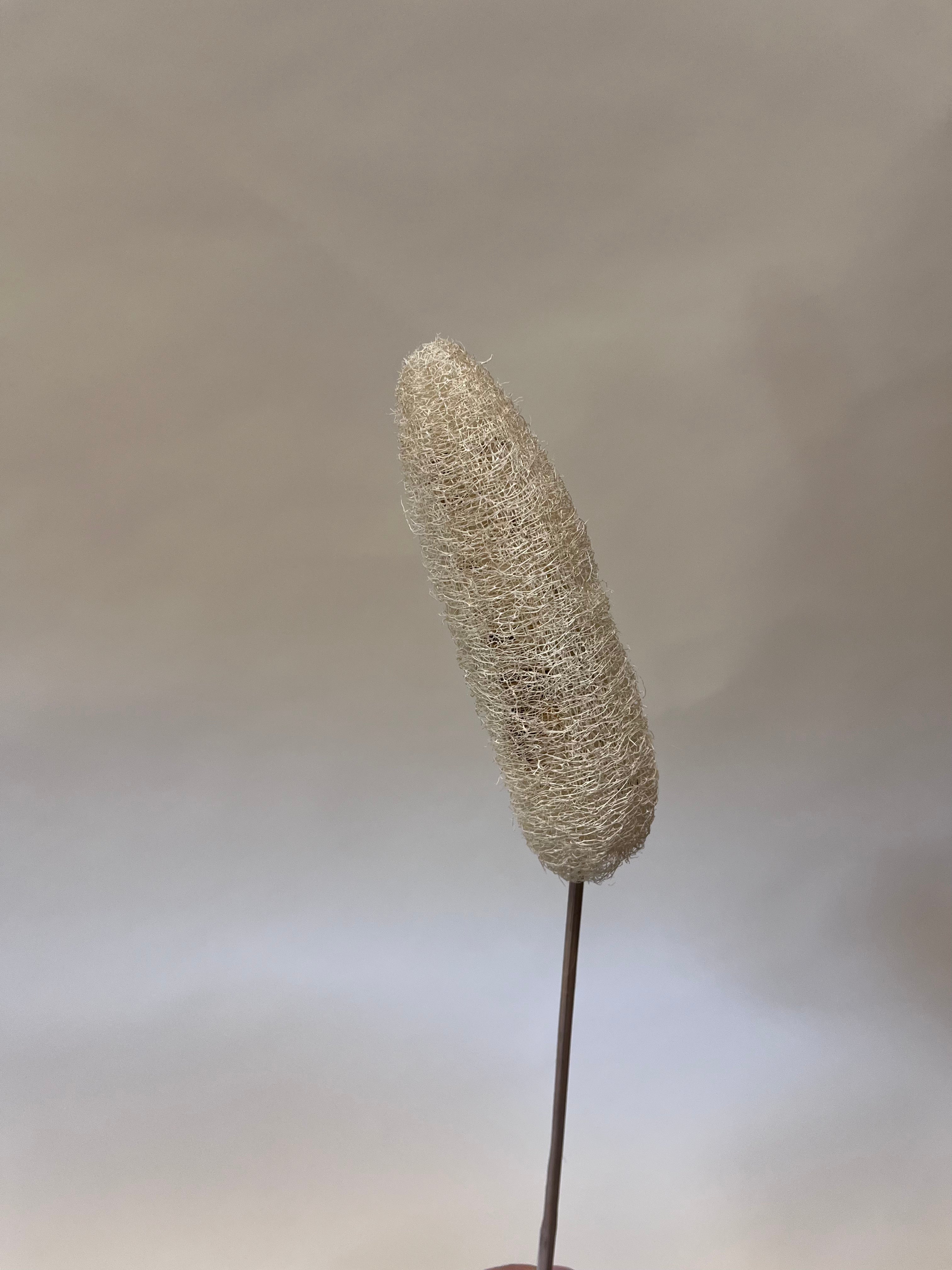 DIY Bundle "The only nature" 50 cm Höhe