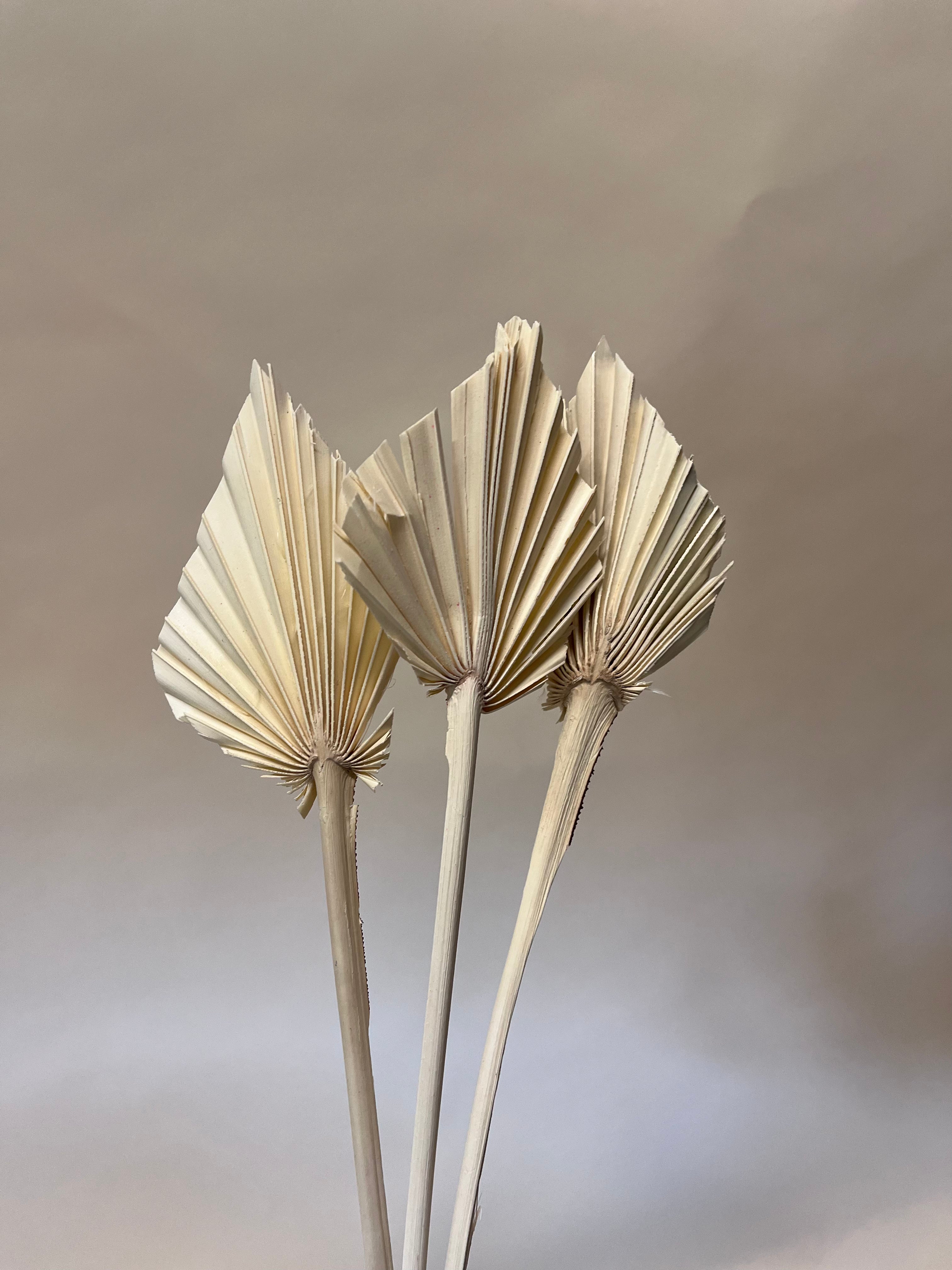 DIY Bundle "The only nature" 50 cm Höhe