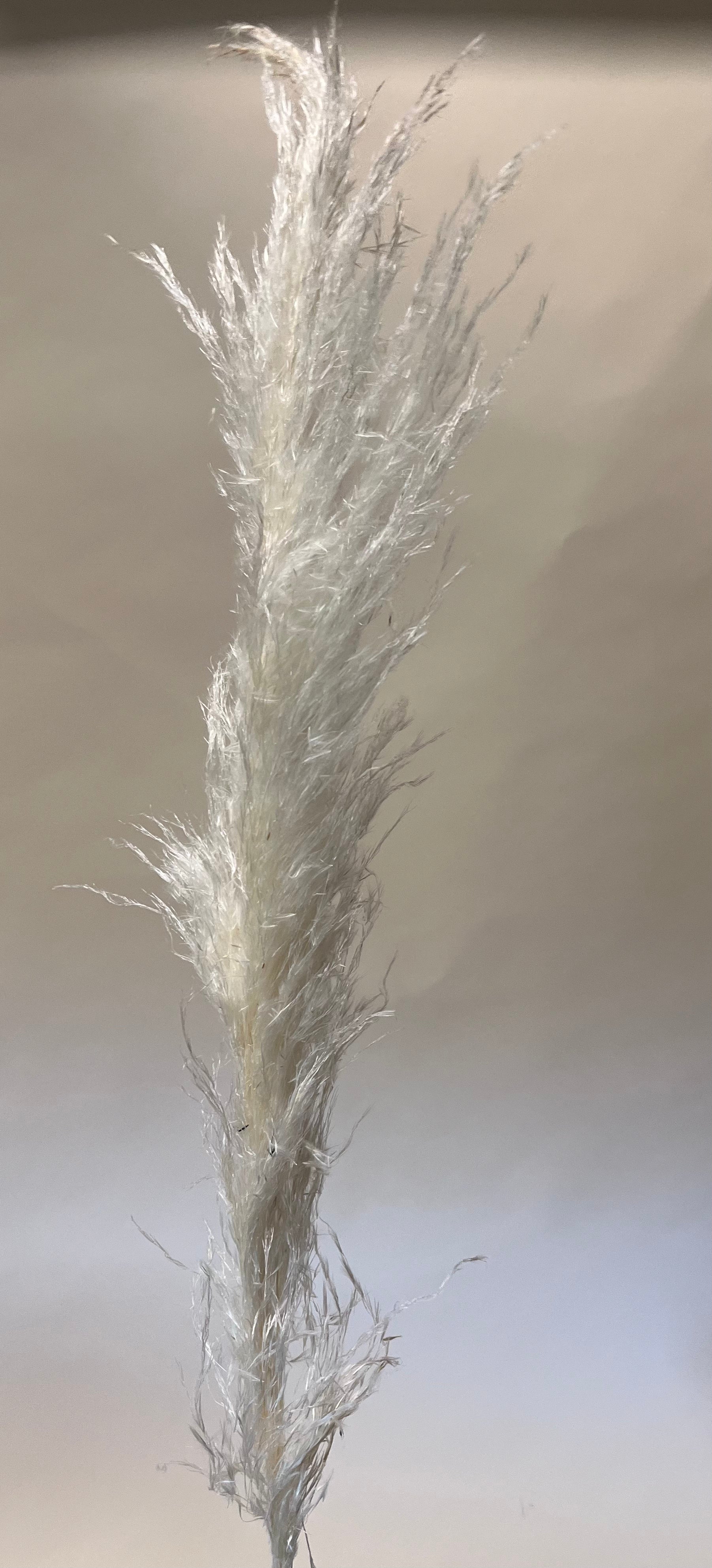 DIY Bundle "The only nature" 50 cm Höhe