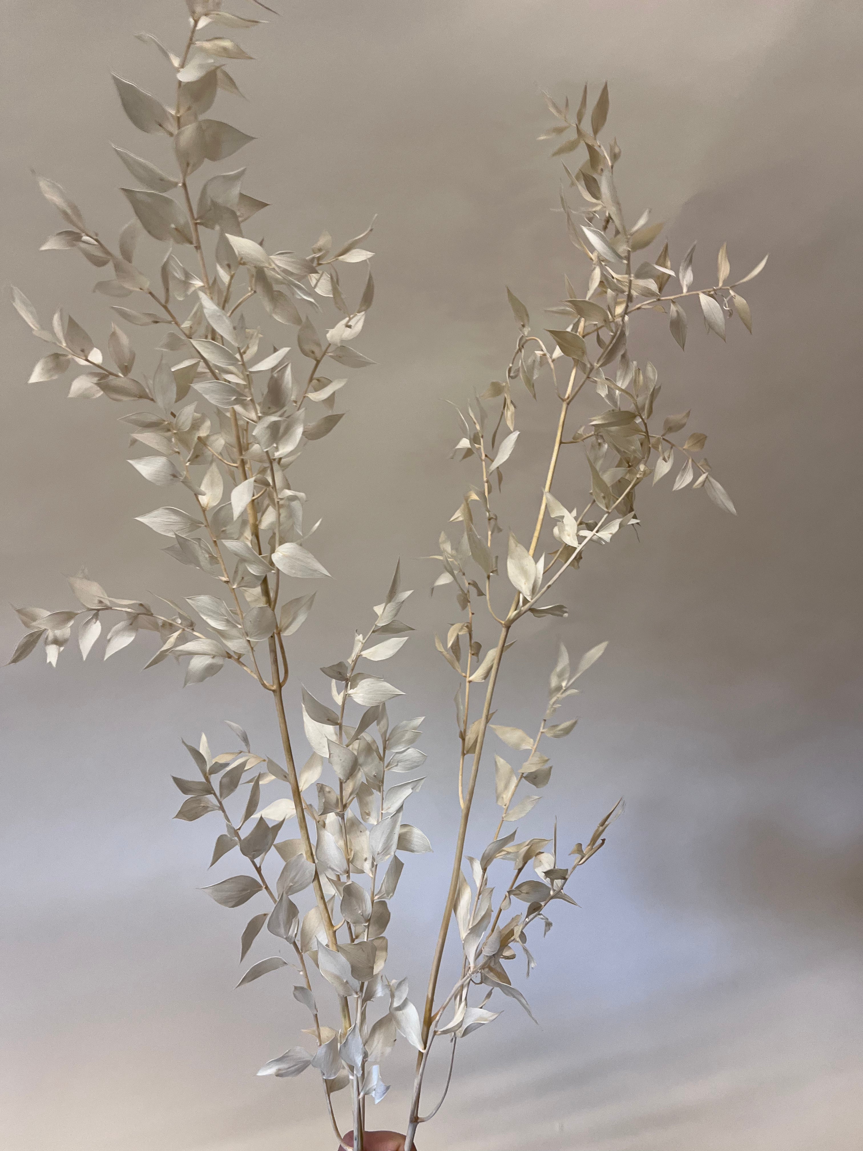 DIY Bundle "The only nature" 50 cm Höhe