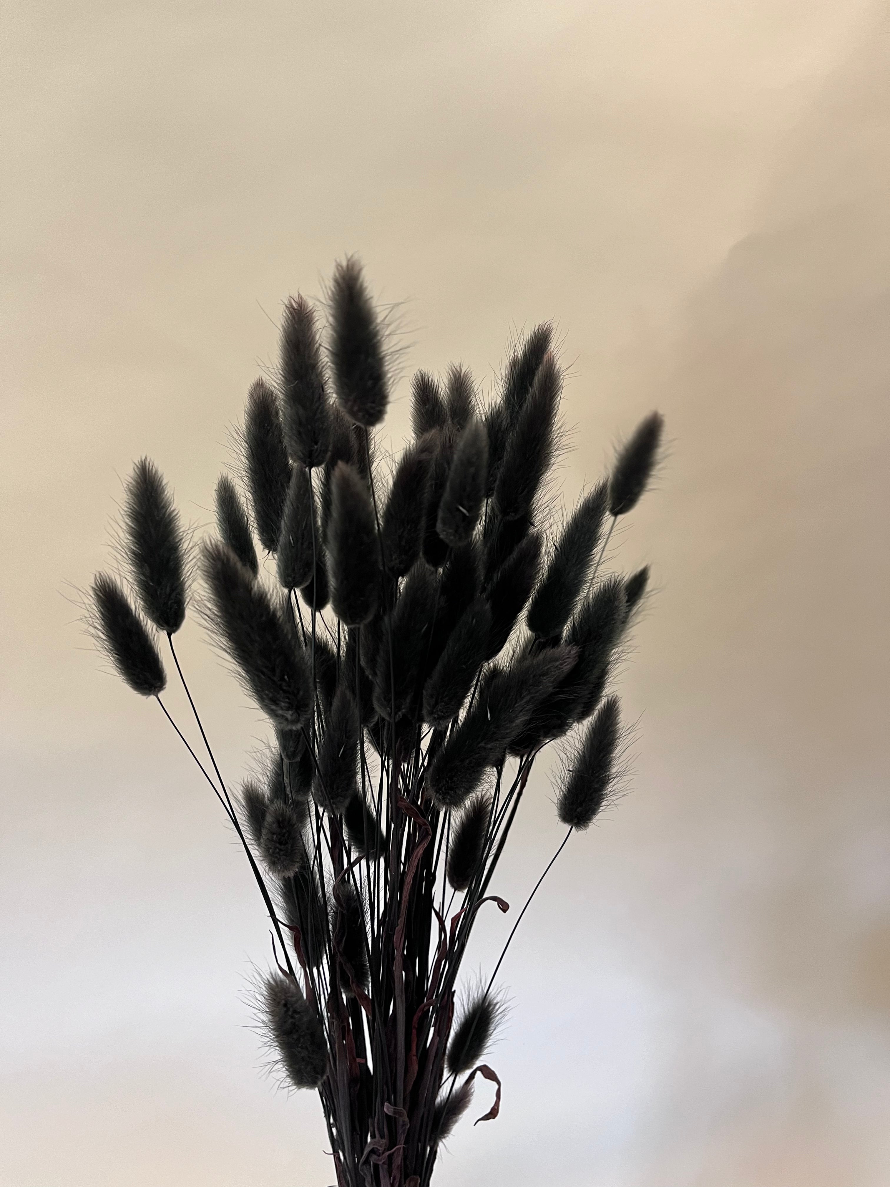 DIY Bundle "Dusk" - 50 cm Höhe