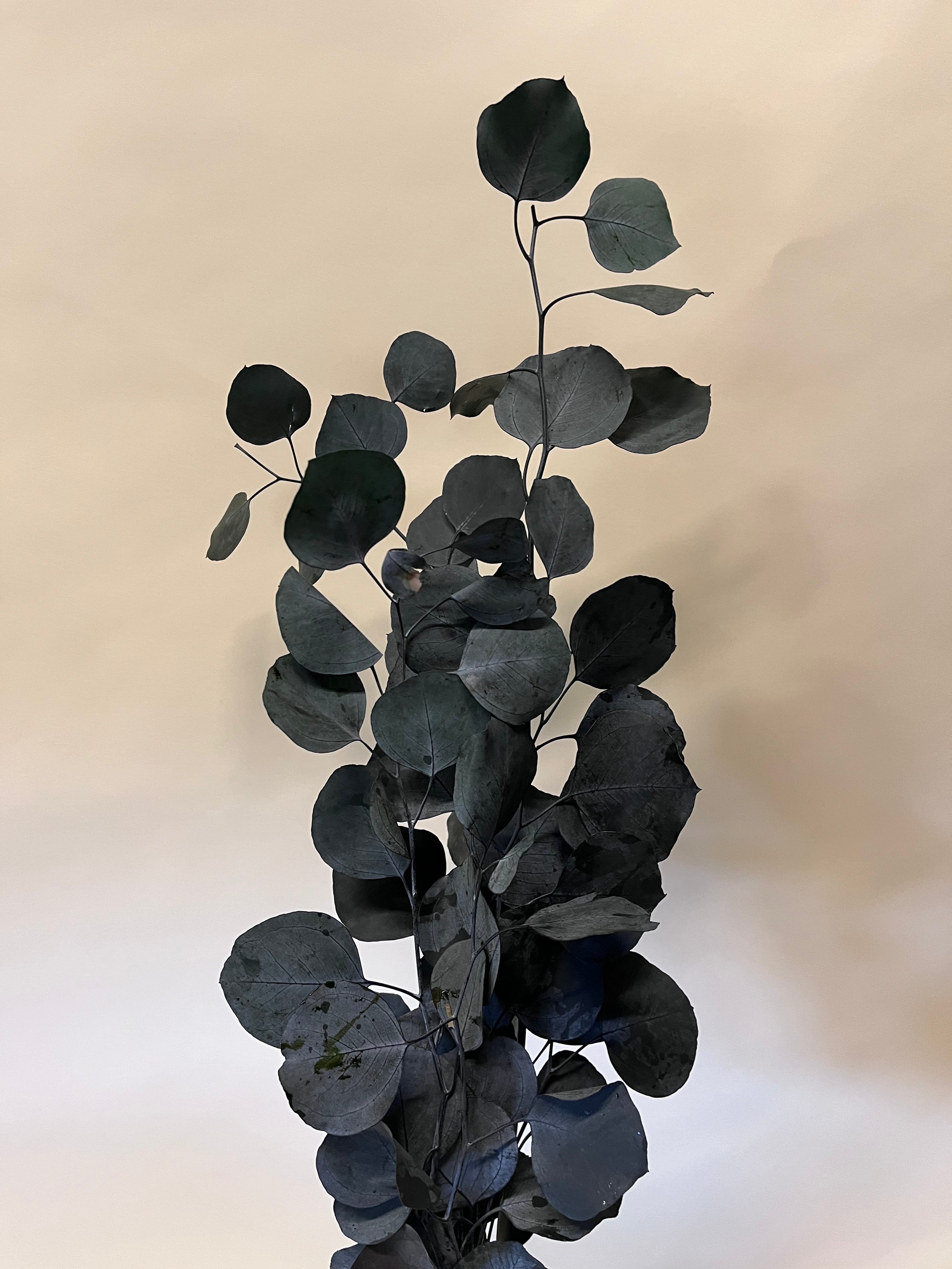 DIY Bundle "Dusk" - 50 cm Höhe