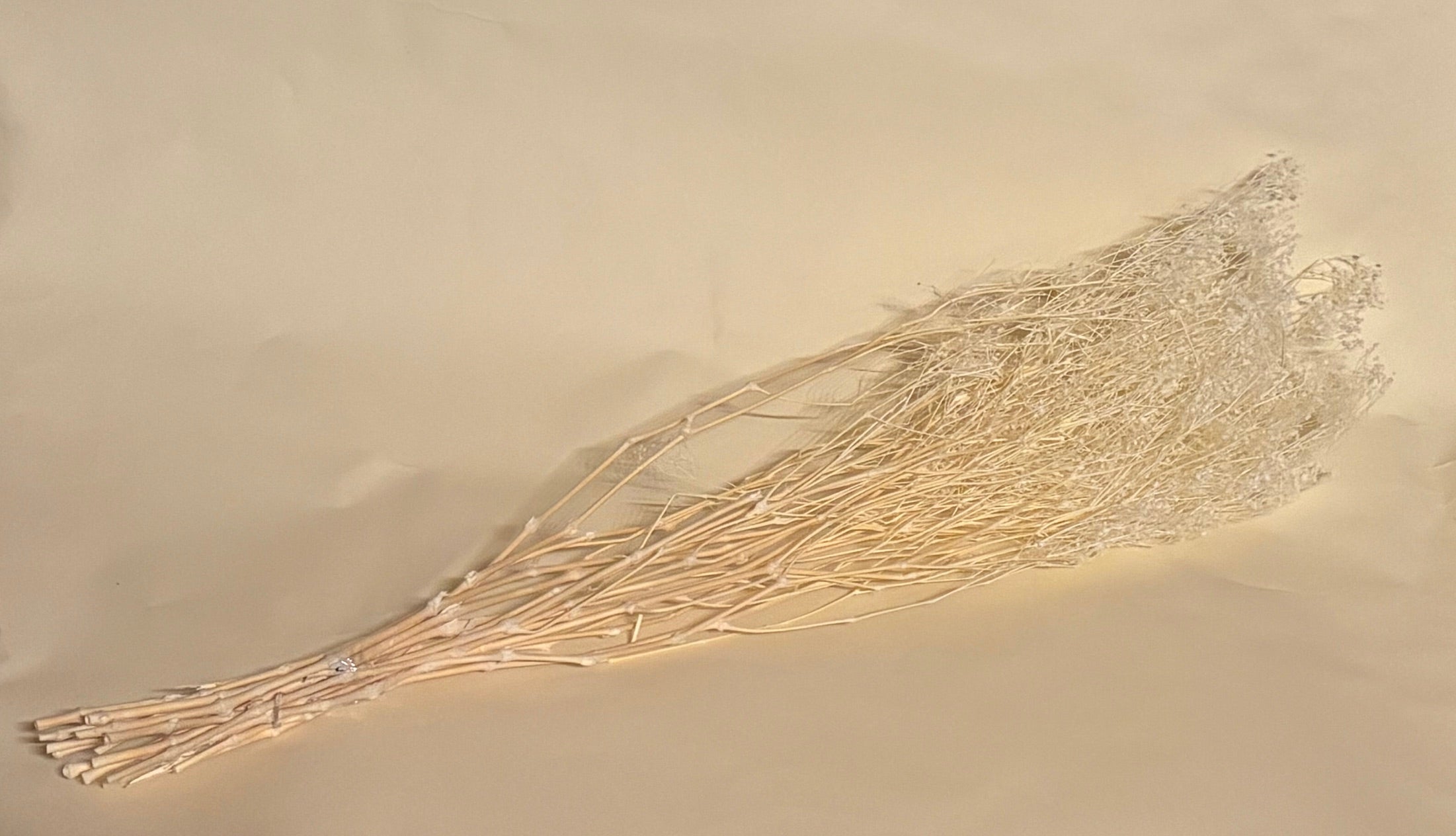 Schleierkraut fein konserviert weiß, 1 Bund mit 10 Stiel, 0,7 m, Gypsophila getrocknet, Trockenblume, Gras, Deko, nachhaltig aus der EU