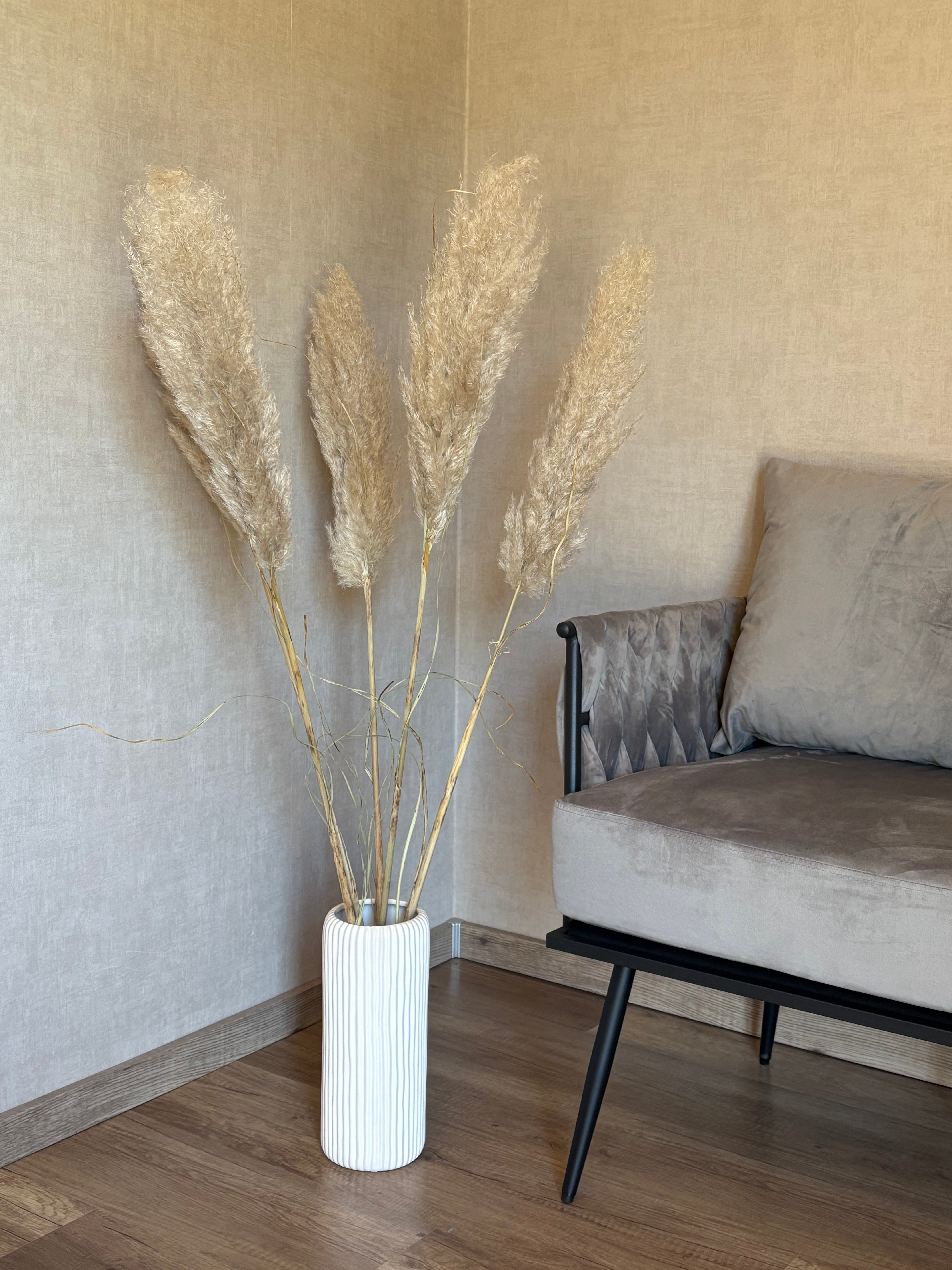 Pampasgras "The Soft" XL, 5 Stiel, 1,10 m, natur, cortedaria getrocknet, Trockenblume, Gras, Deko, nachhaltig aus der EU