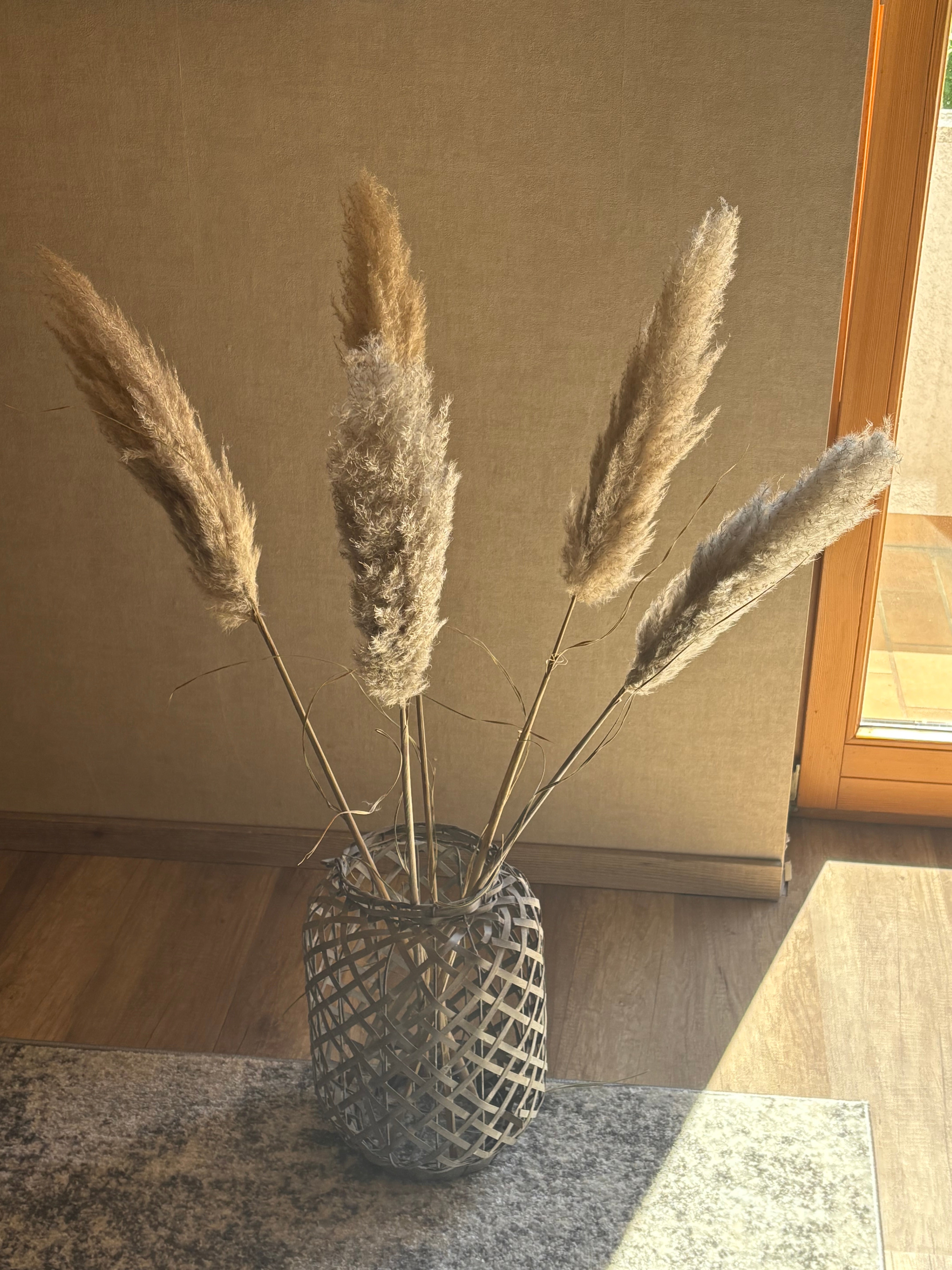 Pampasgras "The Soft" XL, 5 Stiel, 1,10 m, natur, cortedaria getrocknet, Trockenblume, Gras, Deko, nachhaltig aus der EU