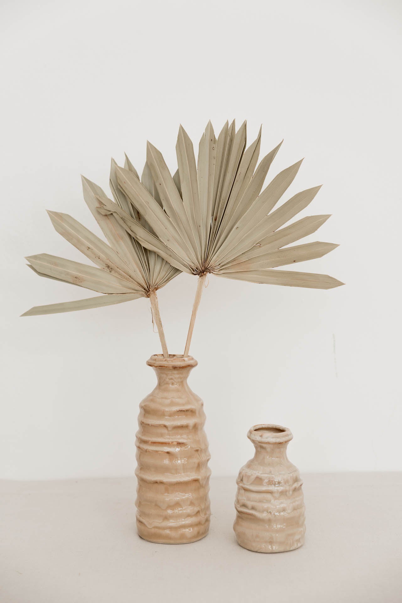 Palmblatt "Sun" , 5 Blatt , 0,50 m, natur, palma getrocknet, Trockenblume, Palme, Deko, nachhaltig aus der EU
