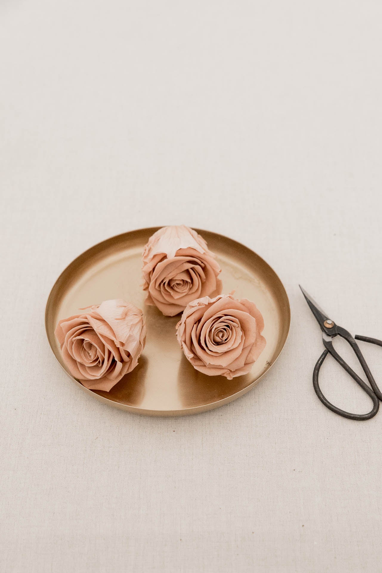 Rose nude konserviert