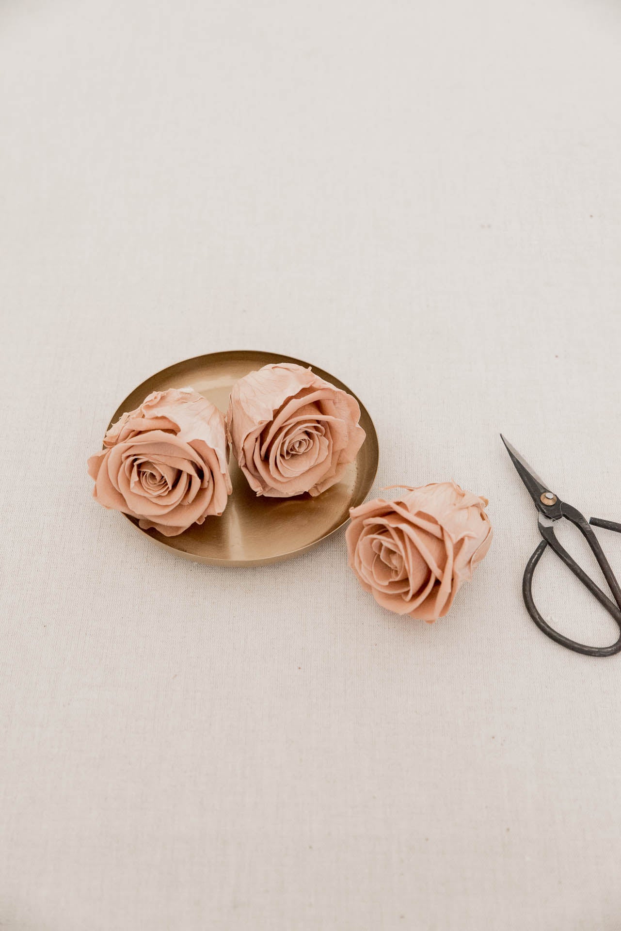 Rose nude konserviert