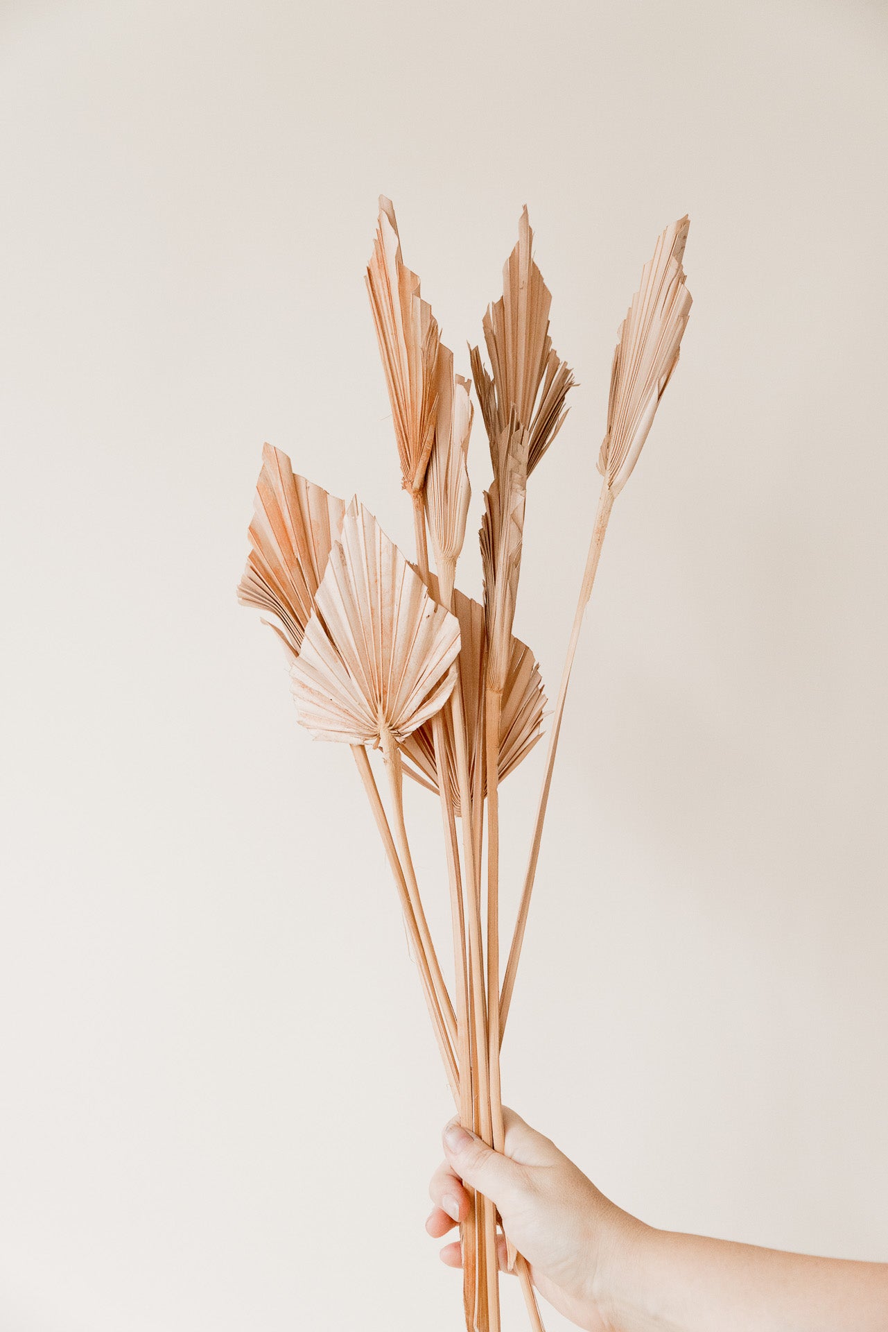 Palmspear sand pro Stück