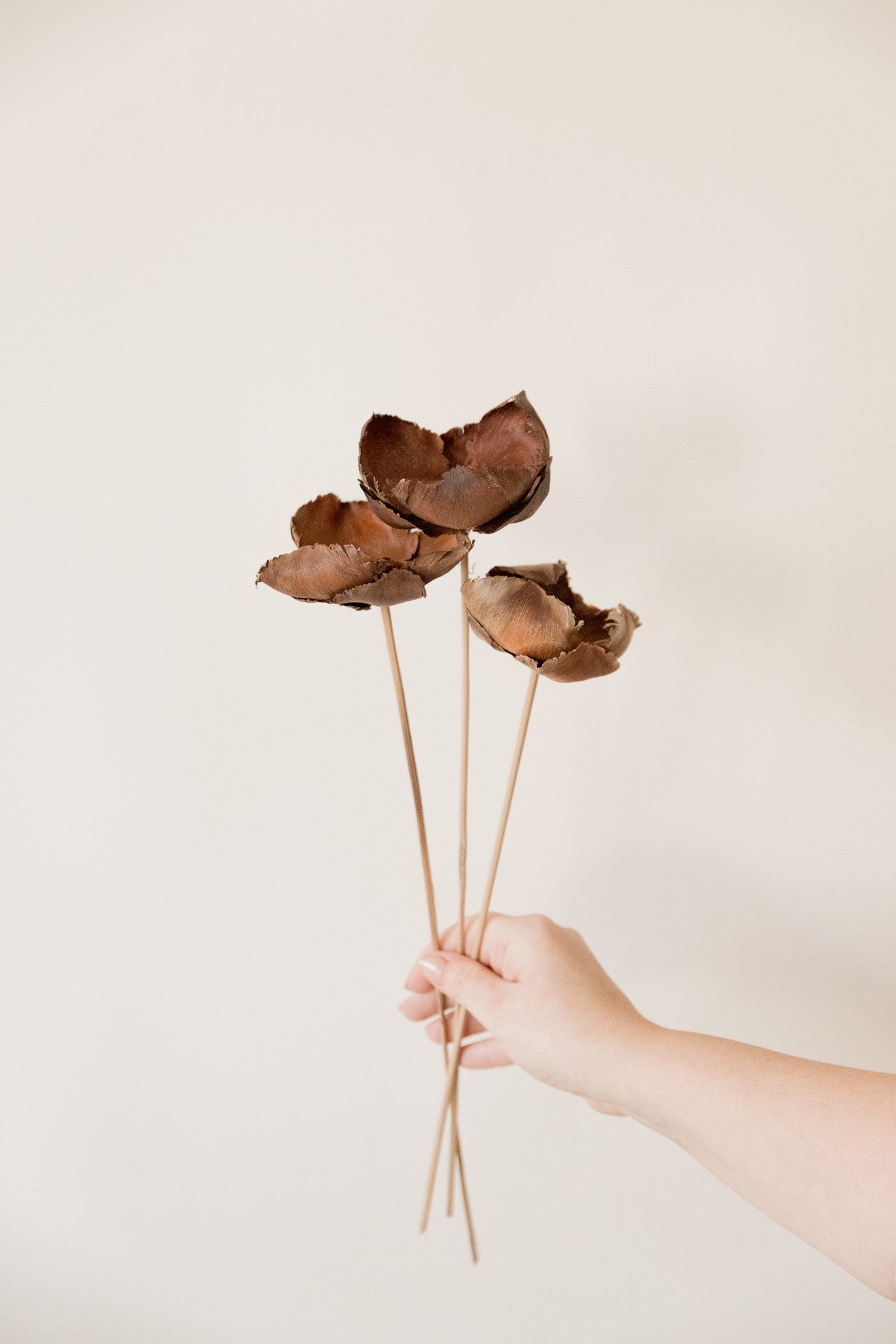 Palmcup natur am Stab 50cm