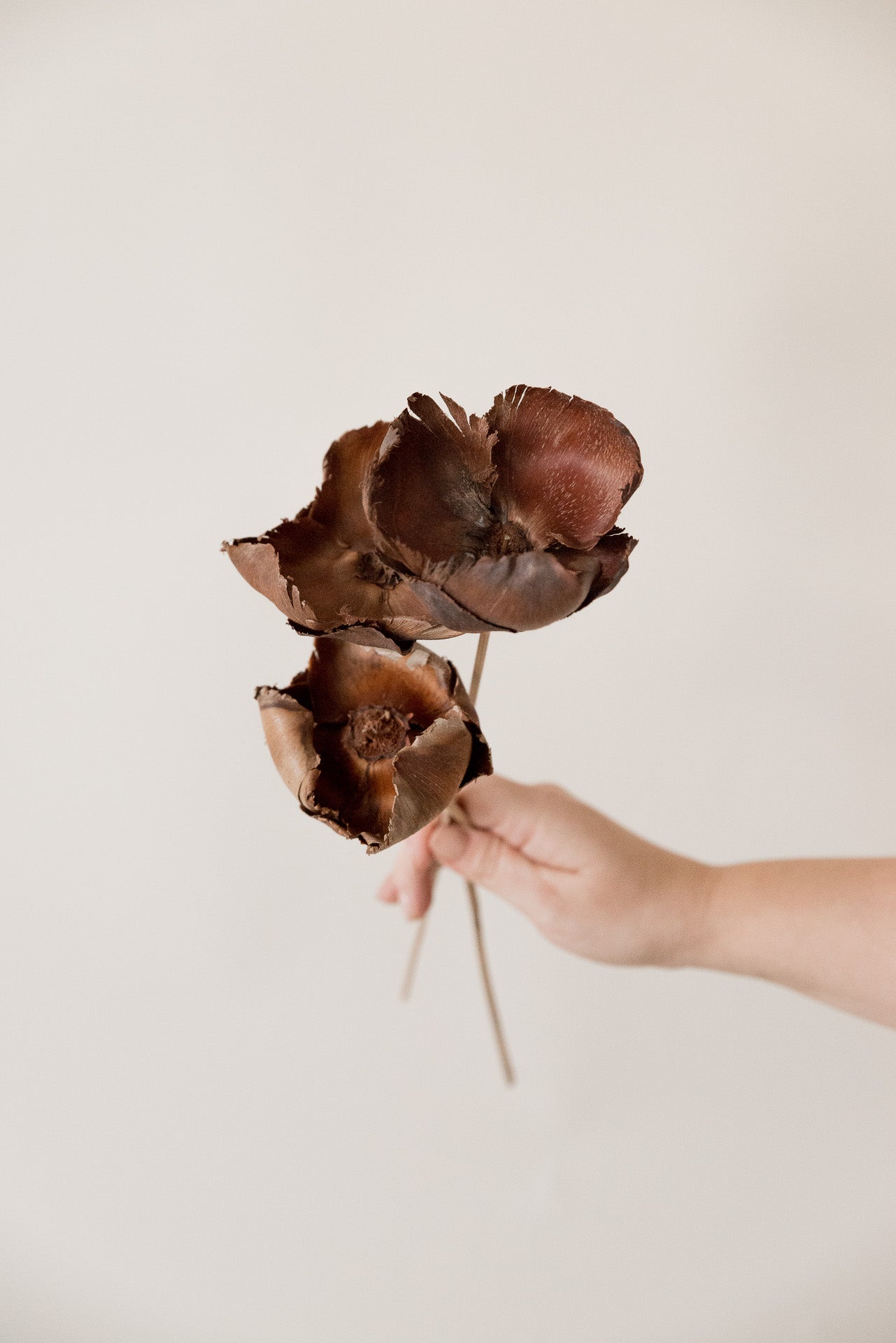 Palmcup natur am Stab 50cm