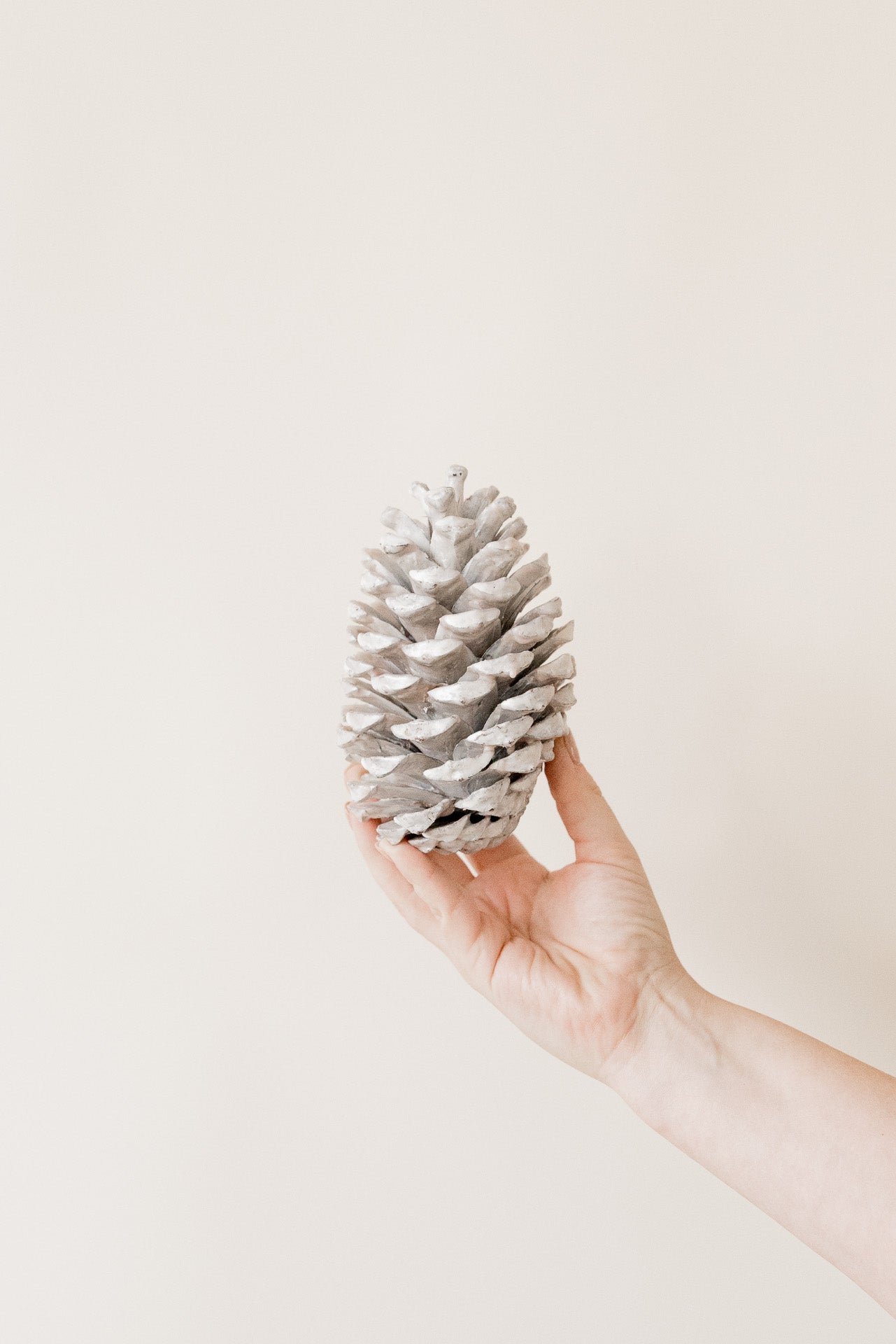 Zapfen caramel gewachst