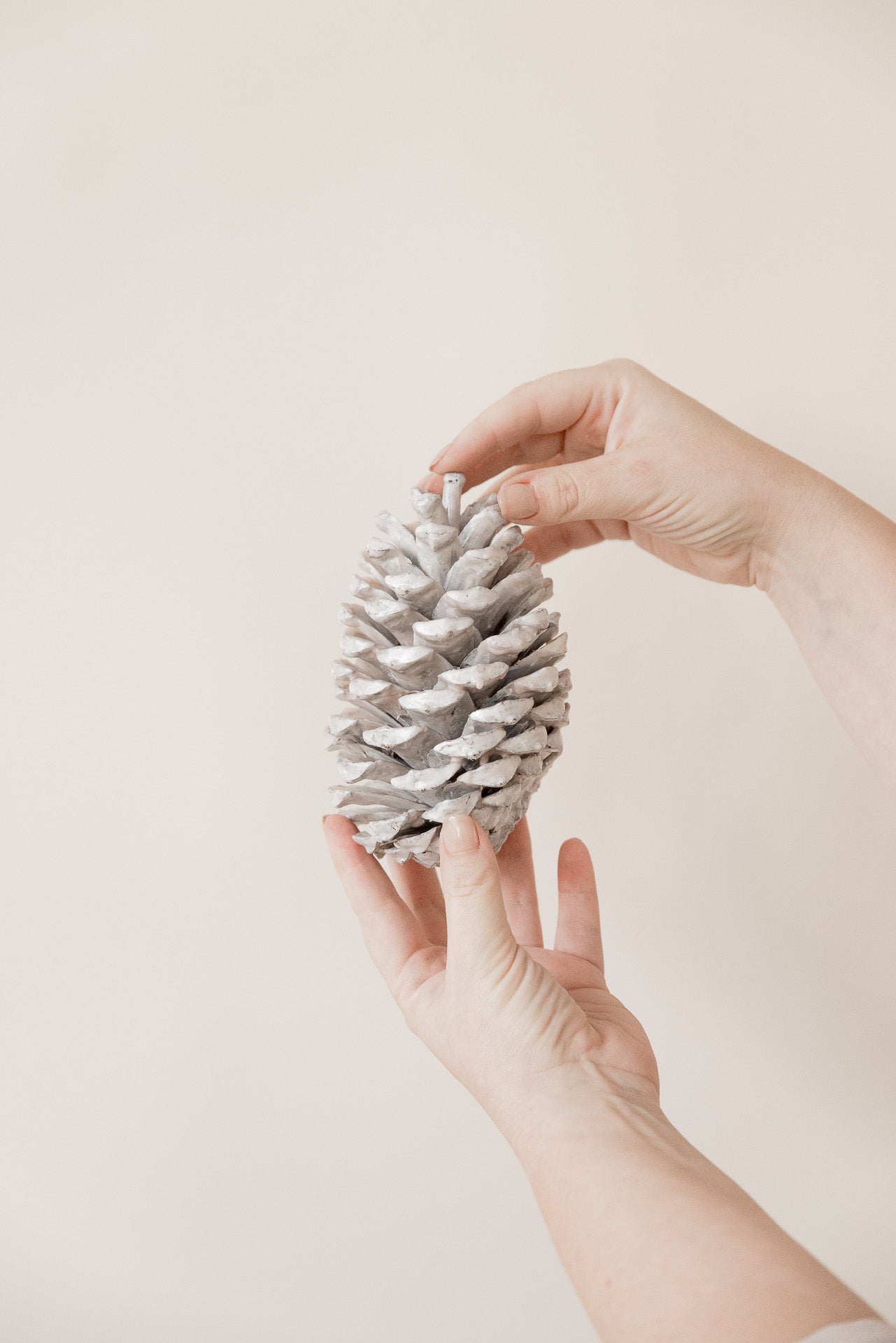 Zapfen caramel gewachst