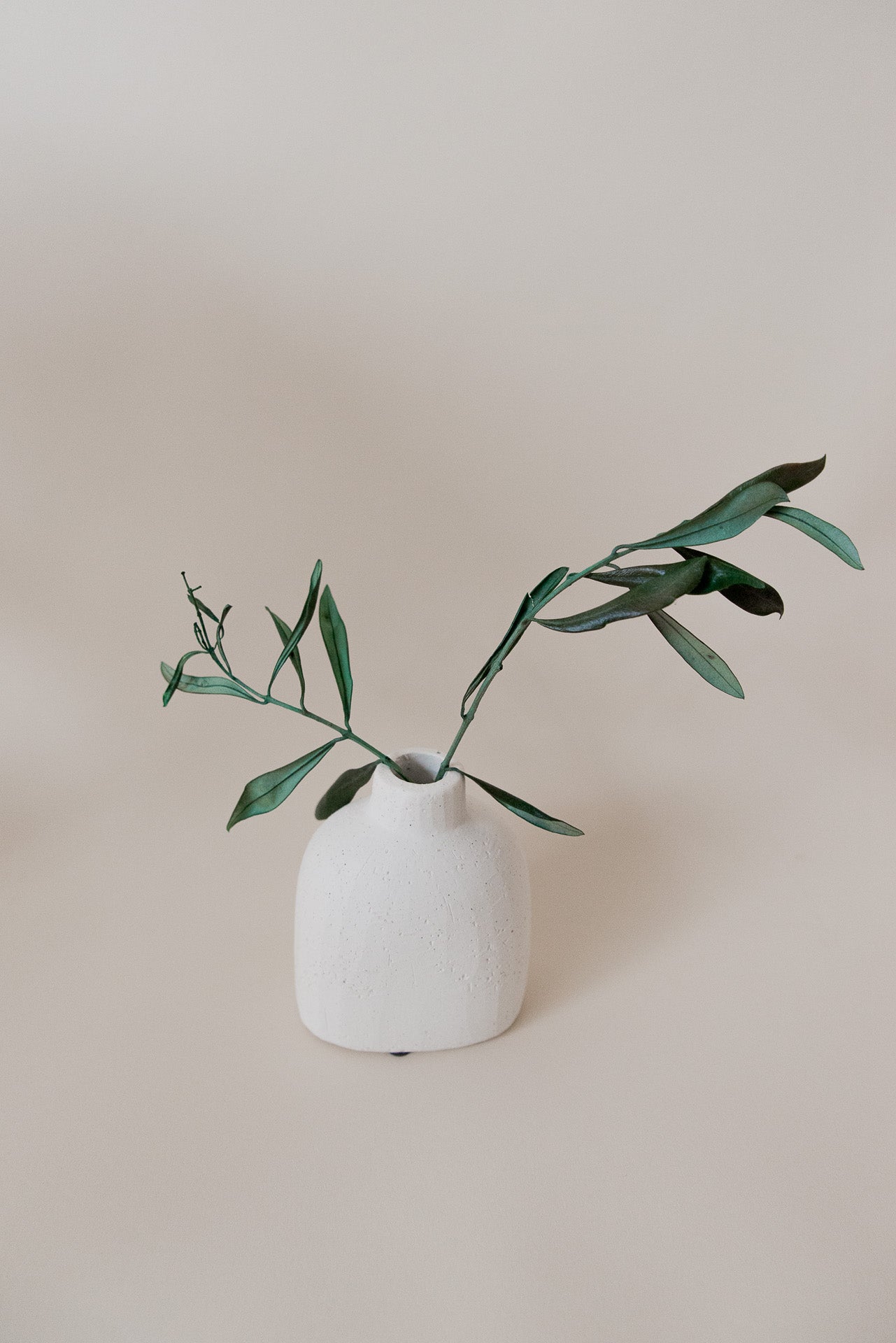 Stabilisierte provenzalische Olivenzweige grün