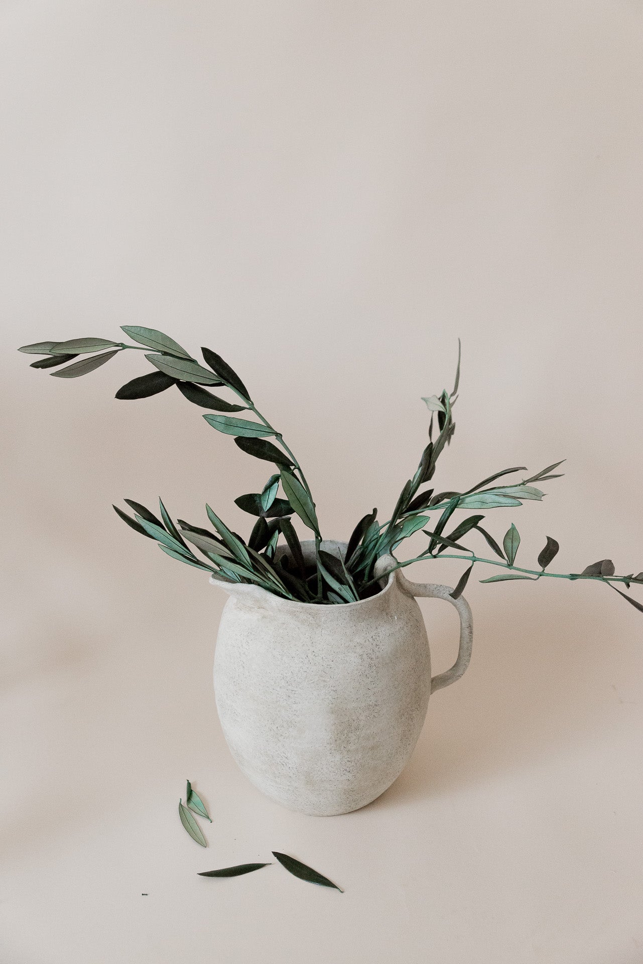 Stabilisierte provenzalische Olivenzweige grün