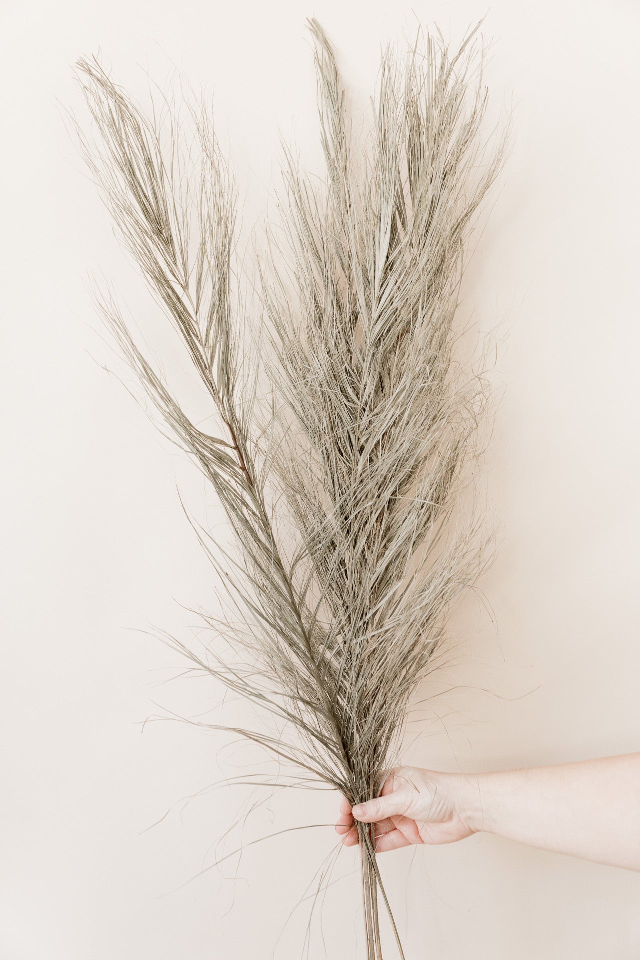 Date Jhat Wedel grau-grün