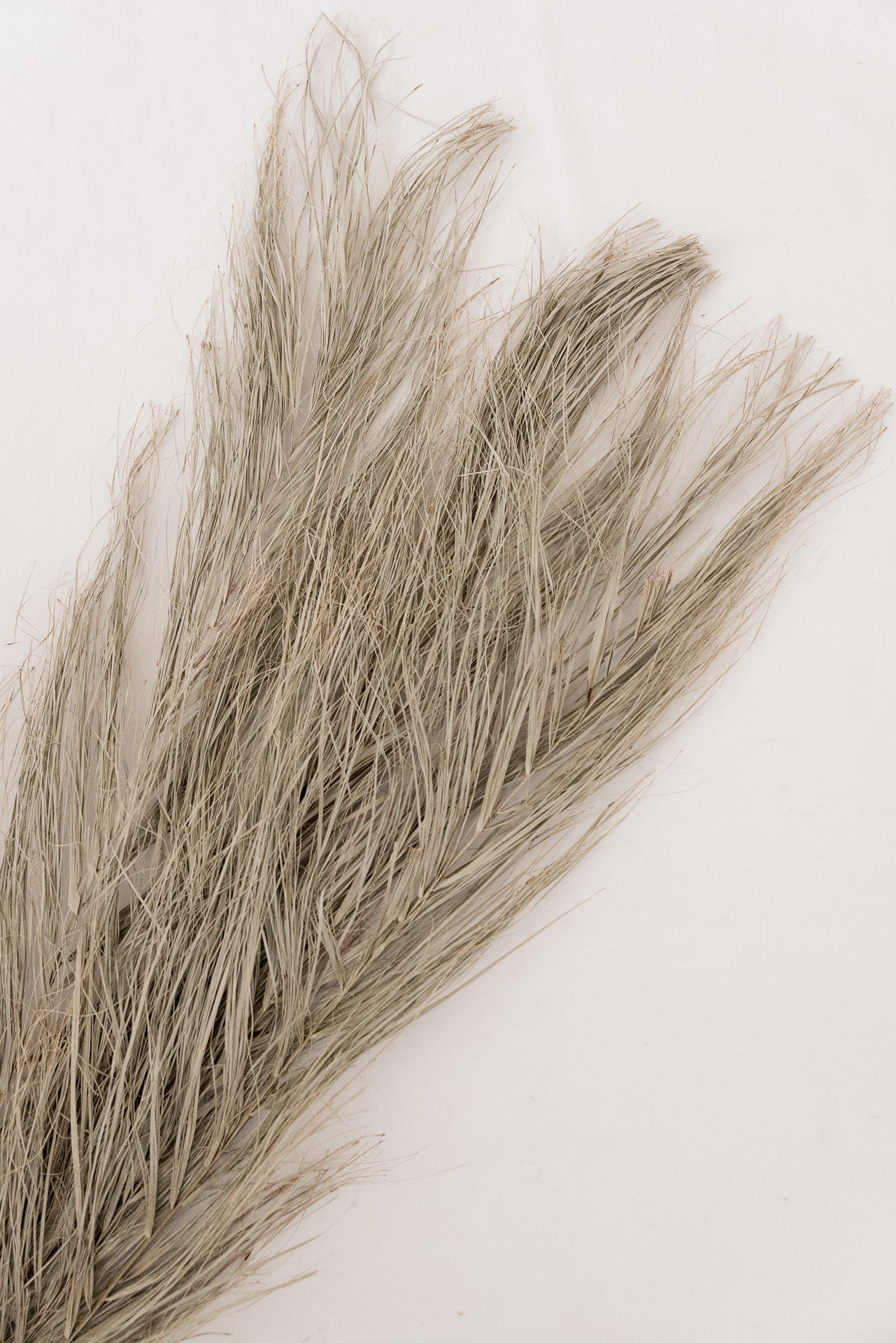 Date Jhat Wedel grau-grün