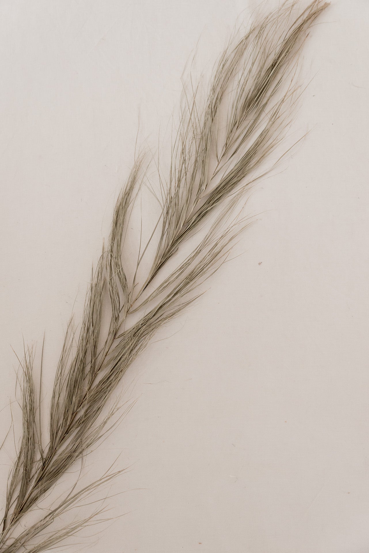 Date Jhat Wedel grau-grün