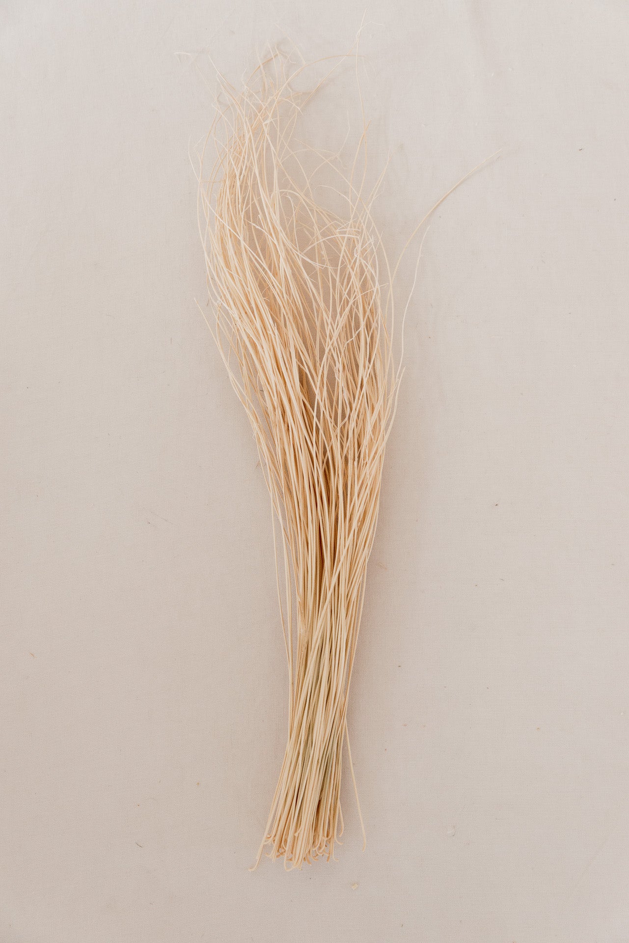Curly Gras gebleicht