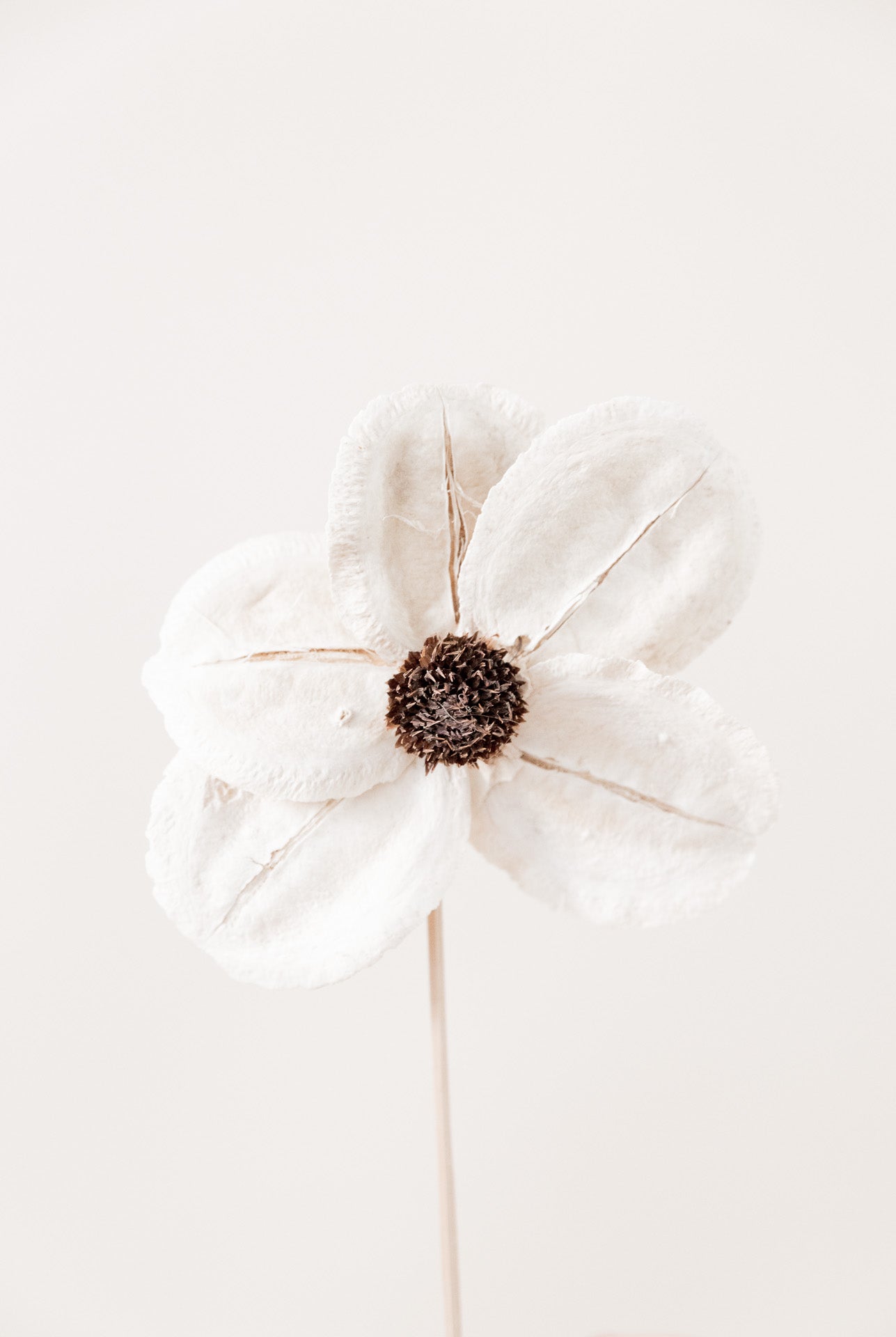 Holzblüte "Anemone"