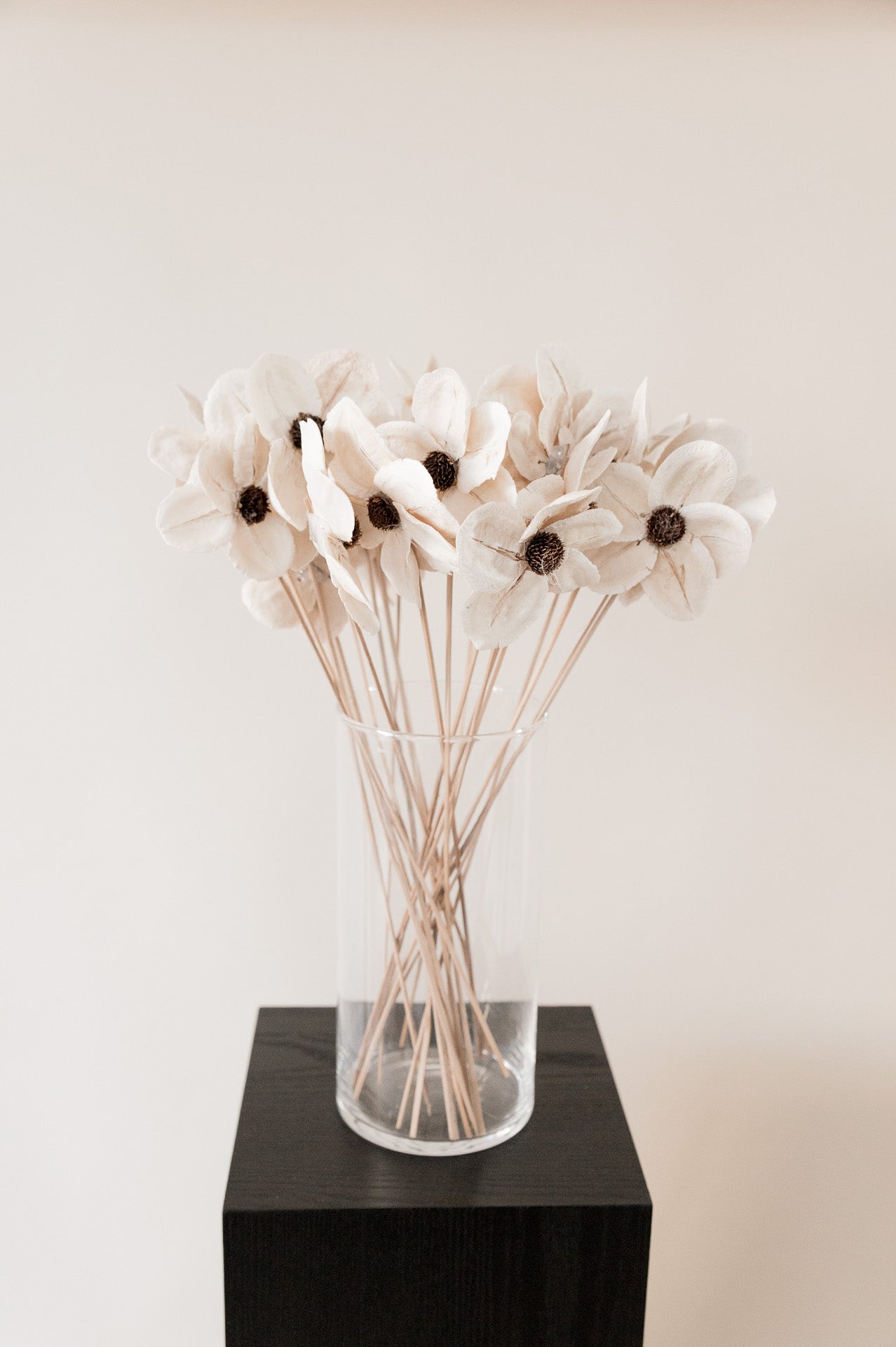 Holzblüte "Anemone"