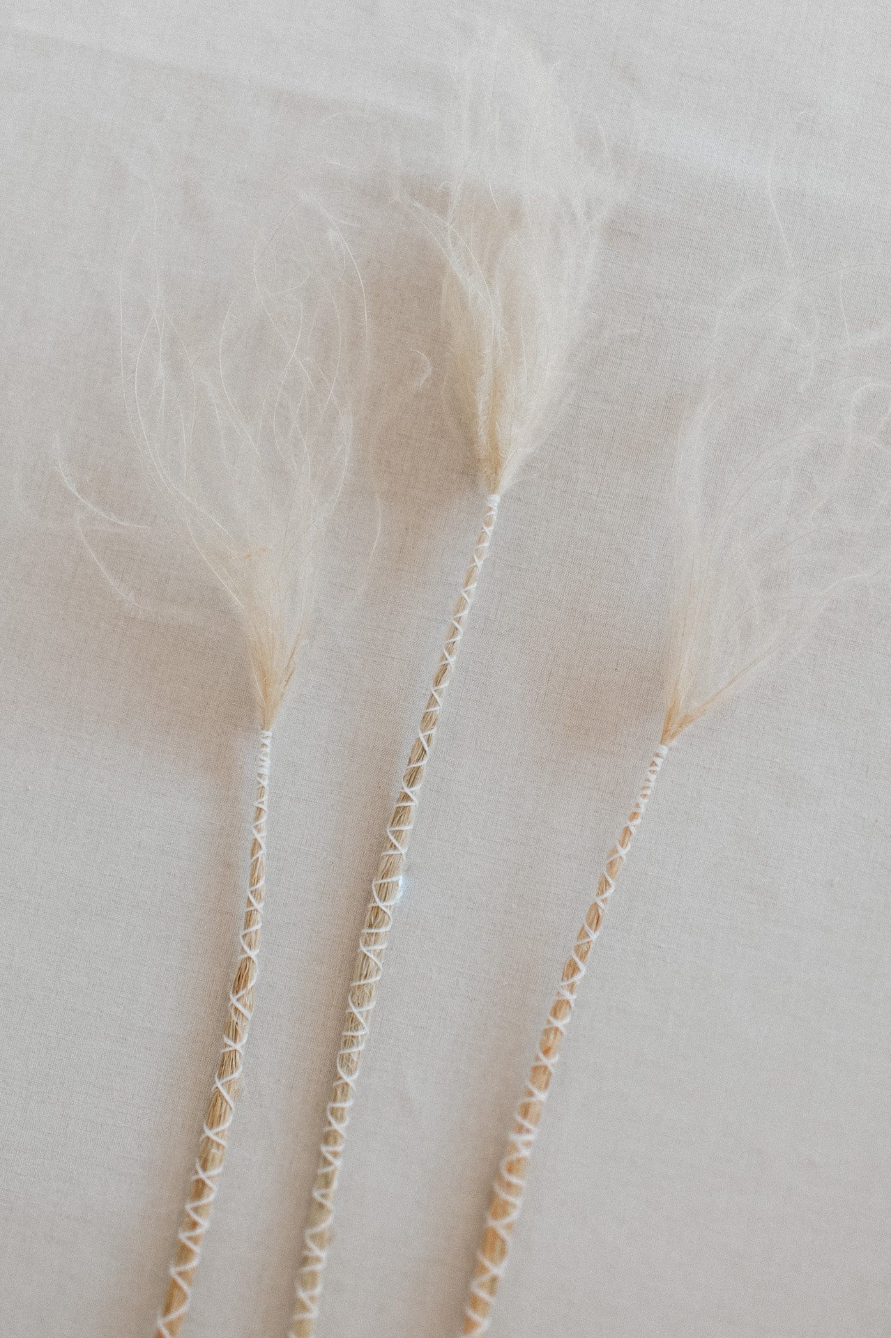 Federgras gebunden 10 Stiel, 0,5 m, Stypia pennata natur, getrocknet, Trockenblume, Gras, Deko, nachhaltig aus der EU