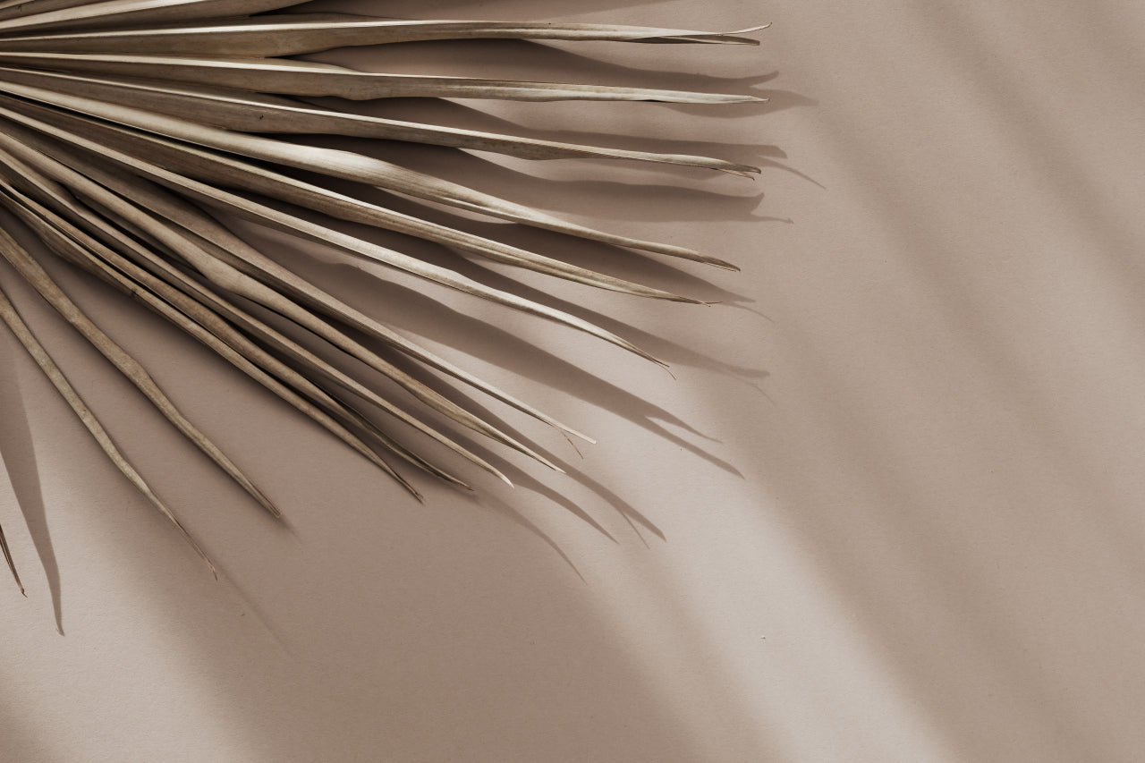 Palmenblatt XL natur - grün