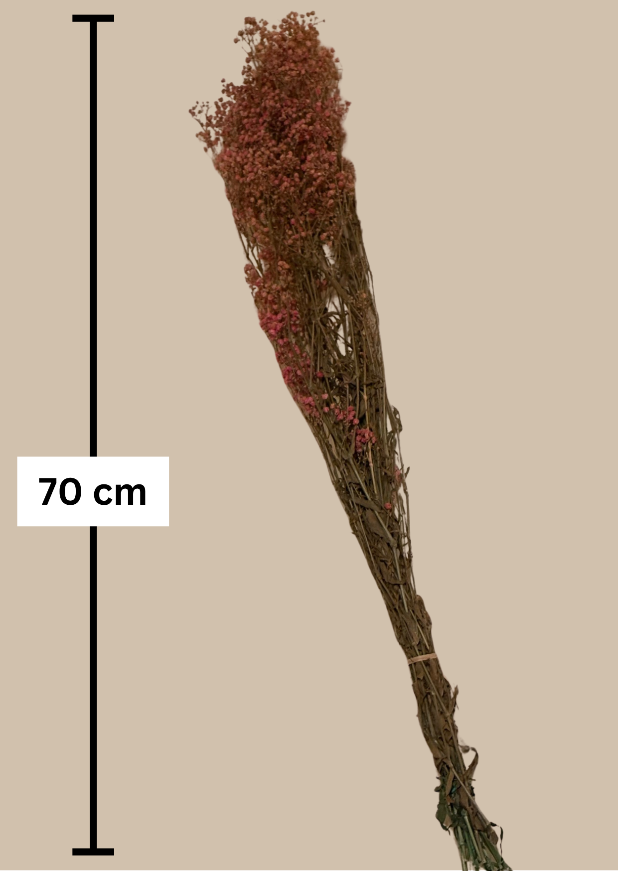 Schleierkraut fein konserviert rosa, 1 Bund mit 10 Stiel, 0,7 m, Gypsophila getrocknet, Trockenblume, Gras, Deko, nachhaltig aus der EU