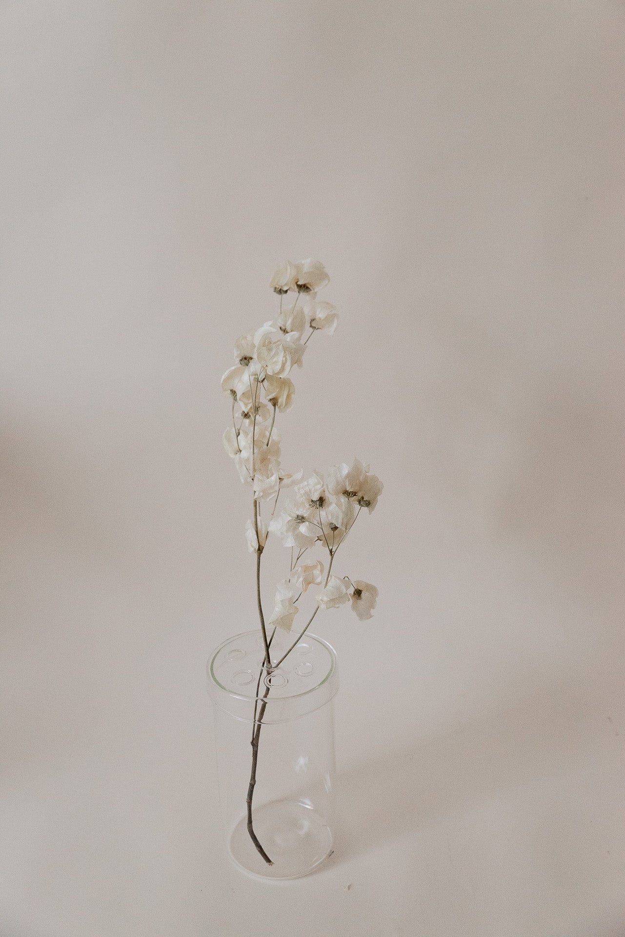 Vase "Still", Ikebana, glasklar