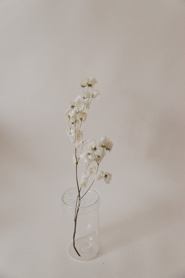 Vase "Still", Ikebana, glasklar